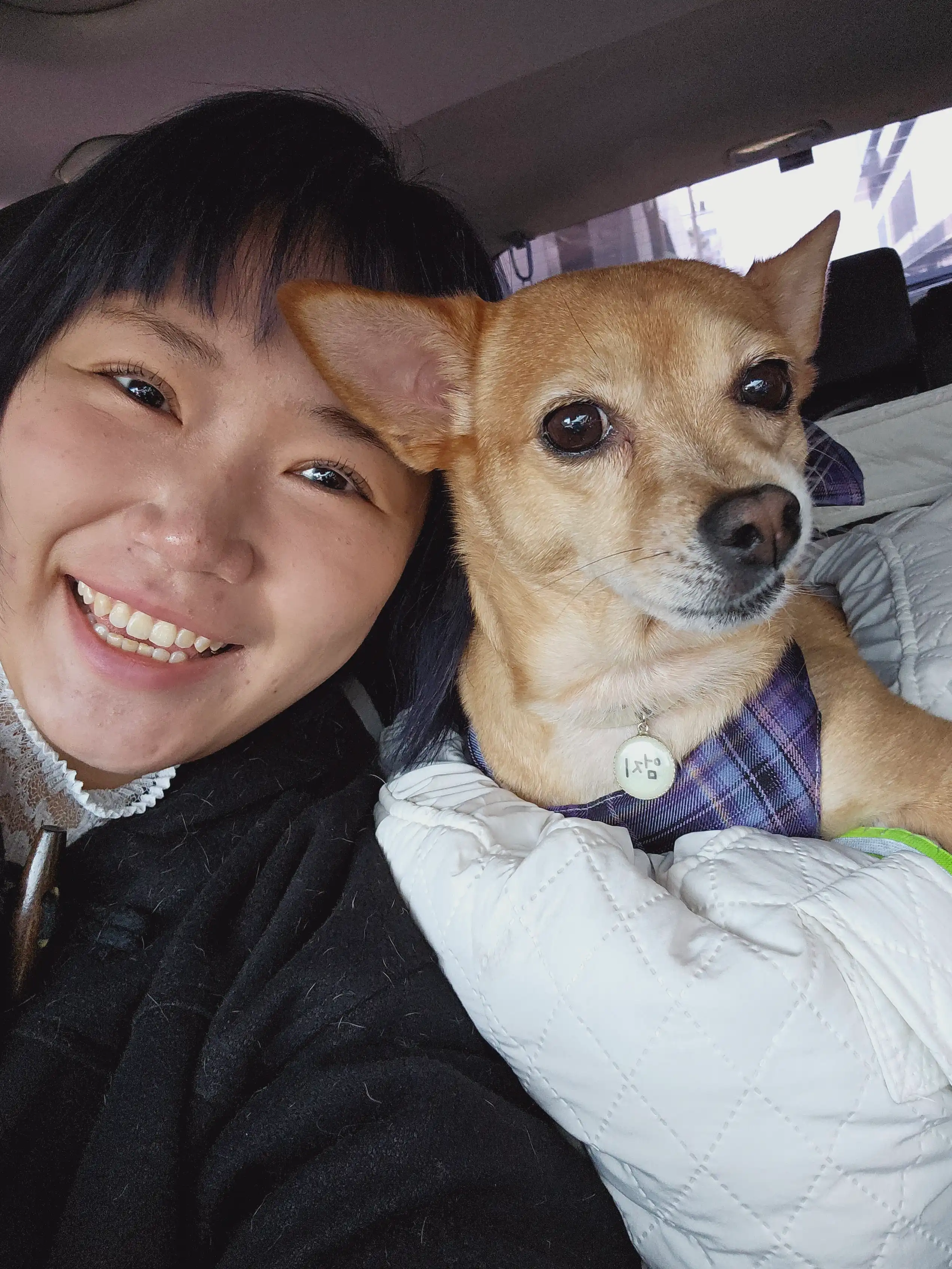 image-5
