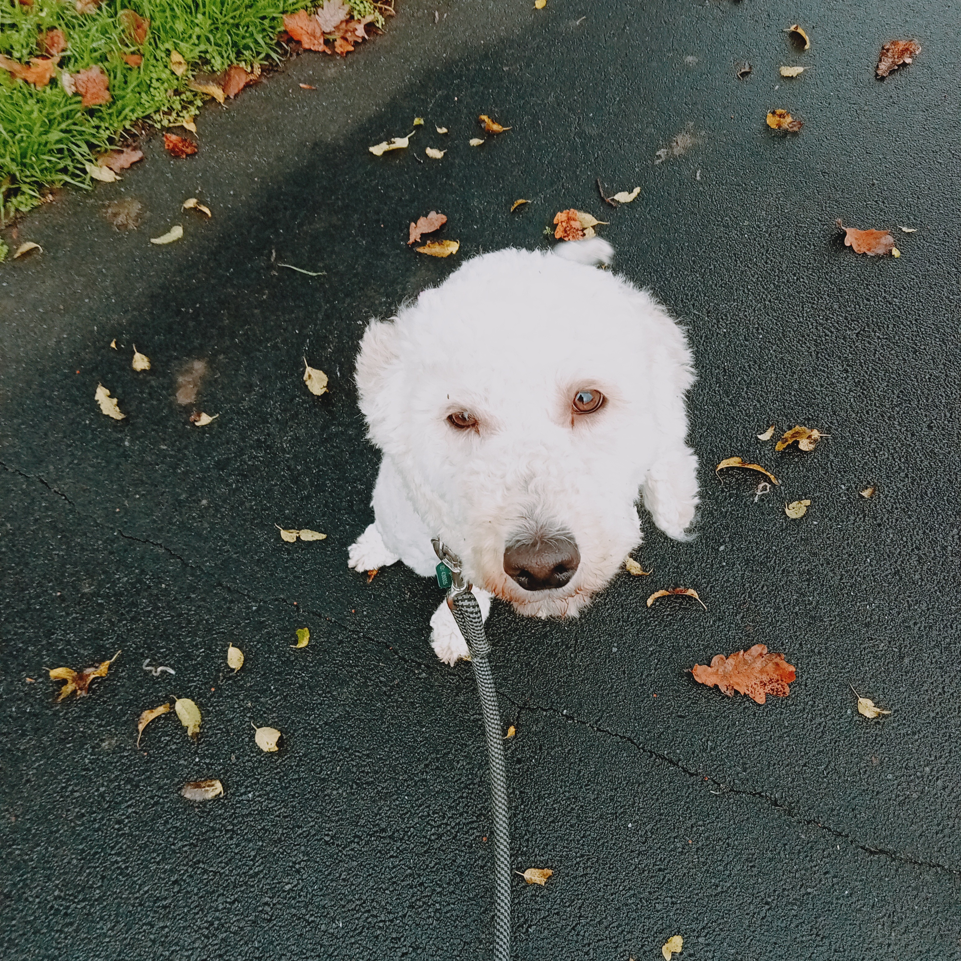 image-8