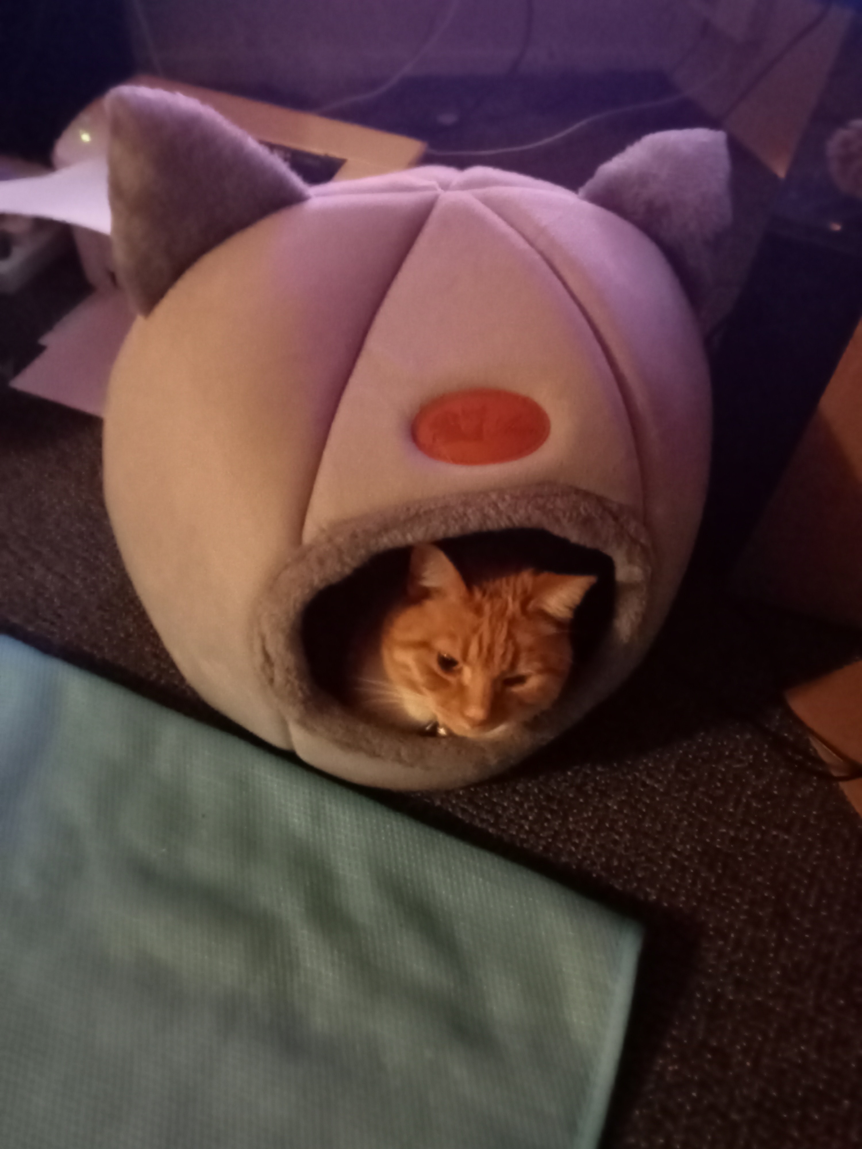 image-6