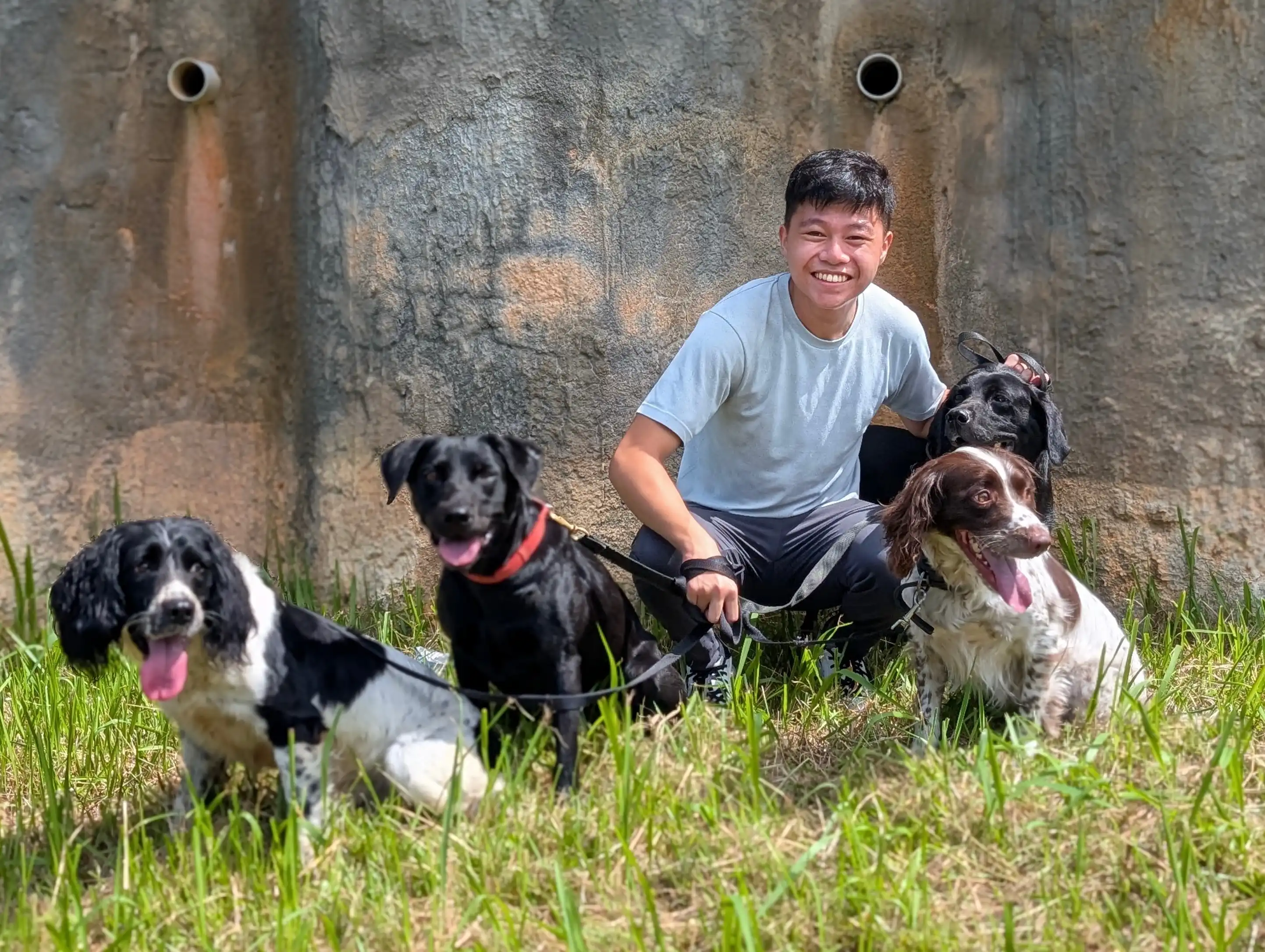 Happy Dogs Petco Daycare Prices Happy Hounds Aquatic Daycare K9