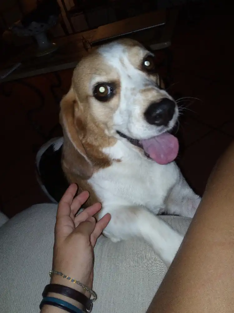 image-7