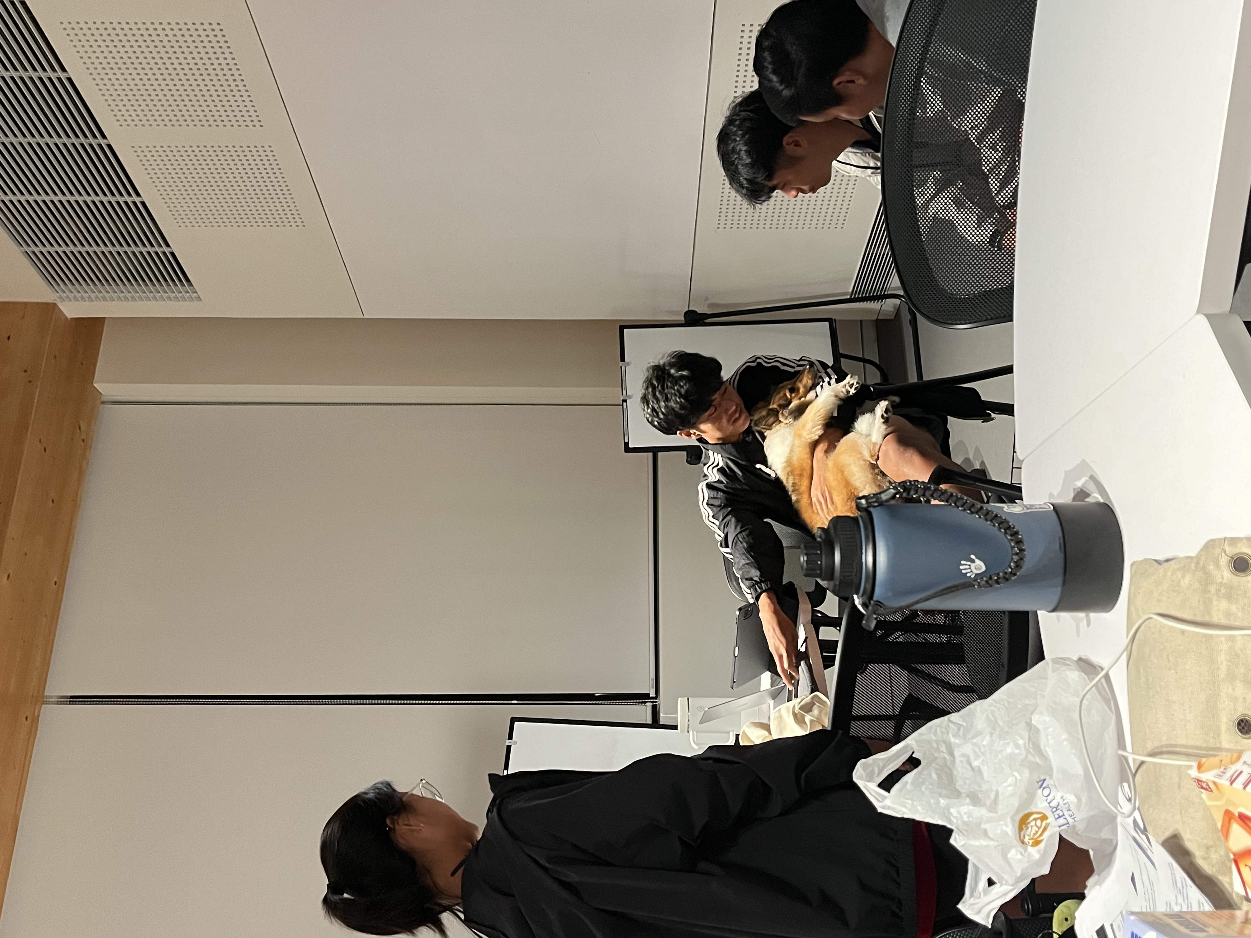 image-7