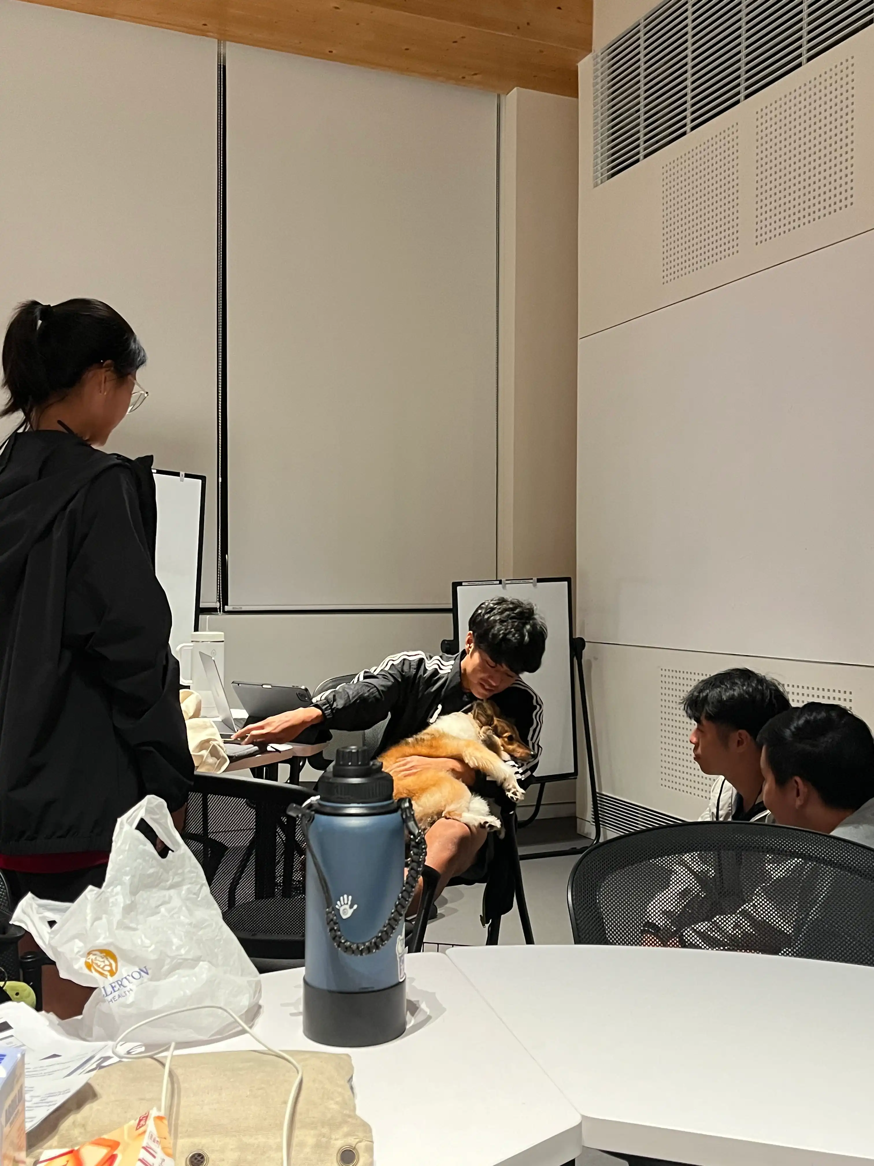 image-7