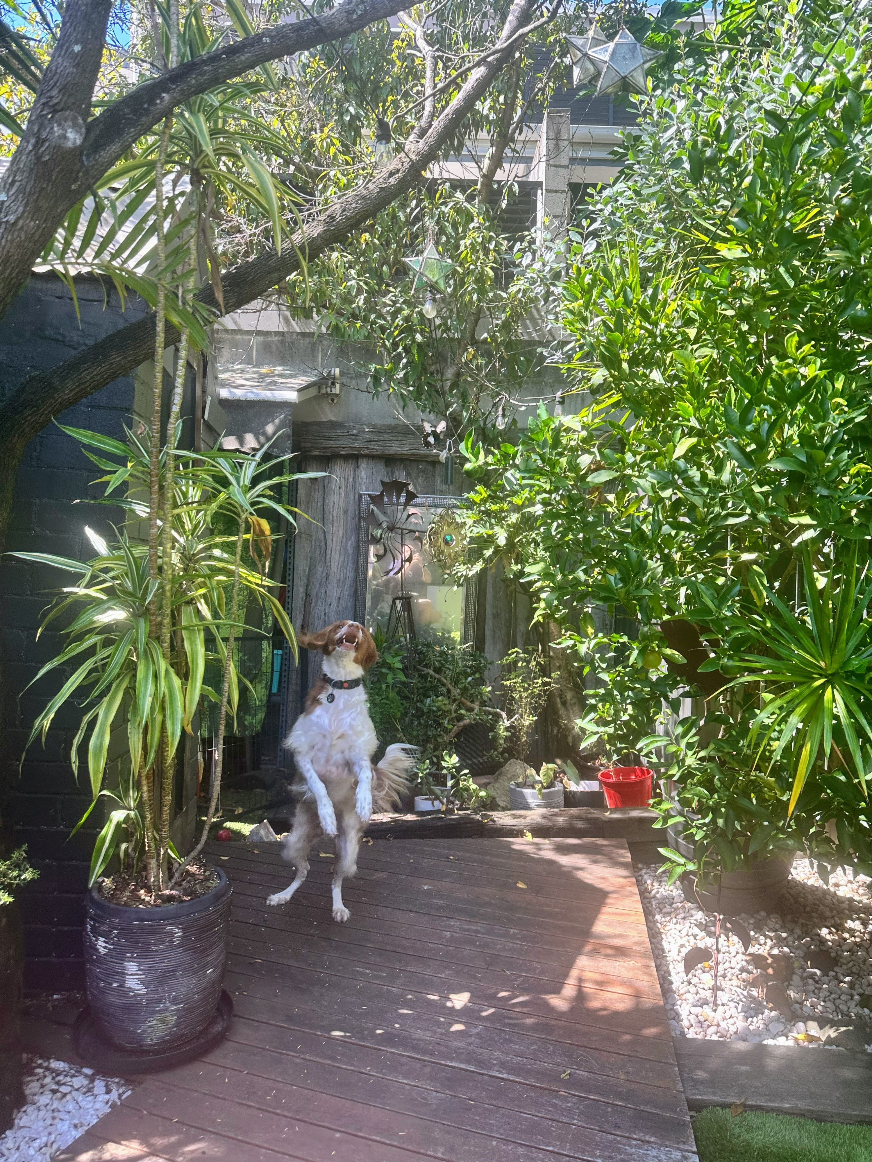 image-3