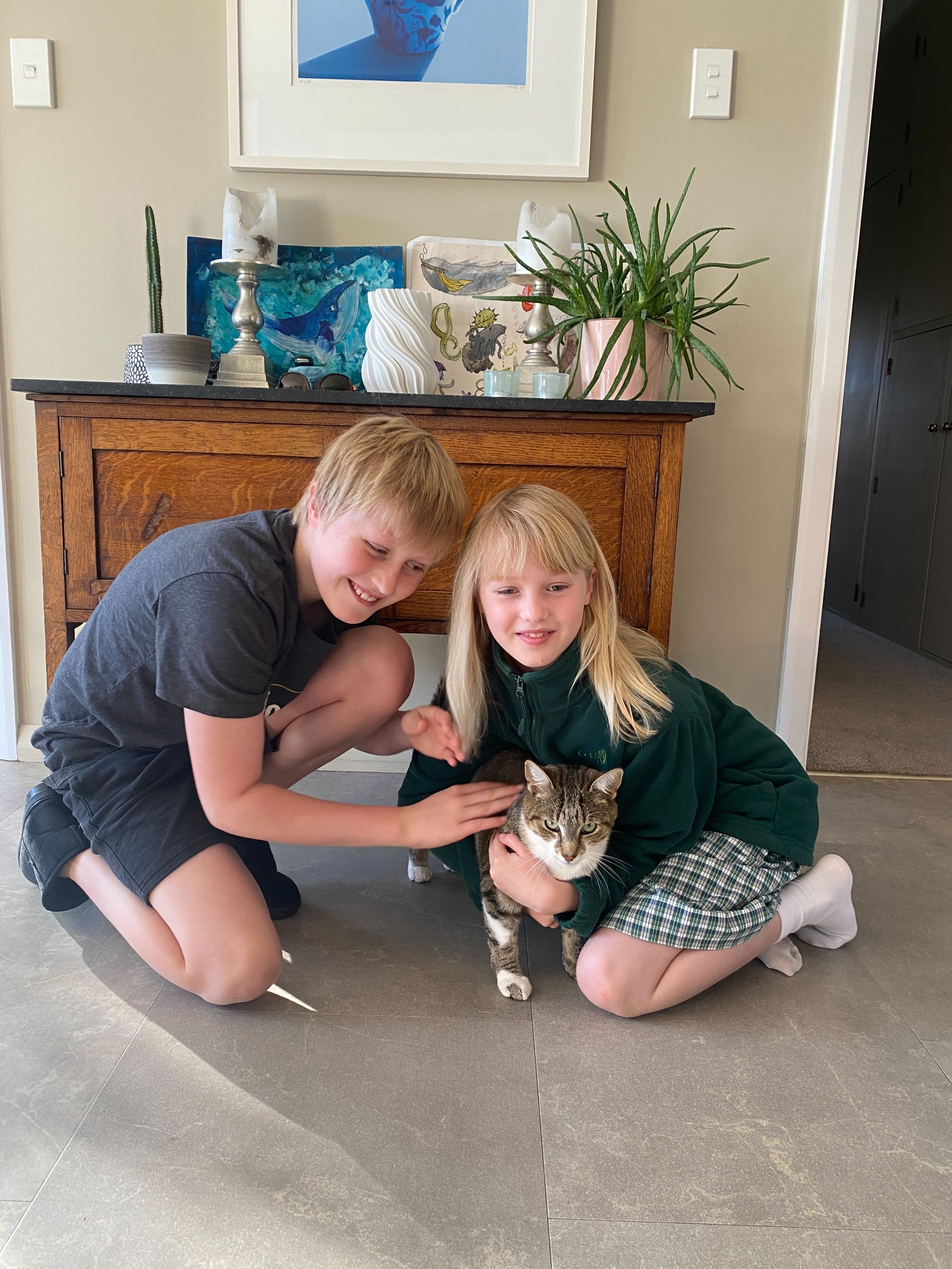 image-12