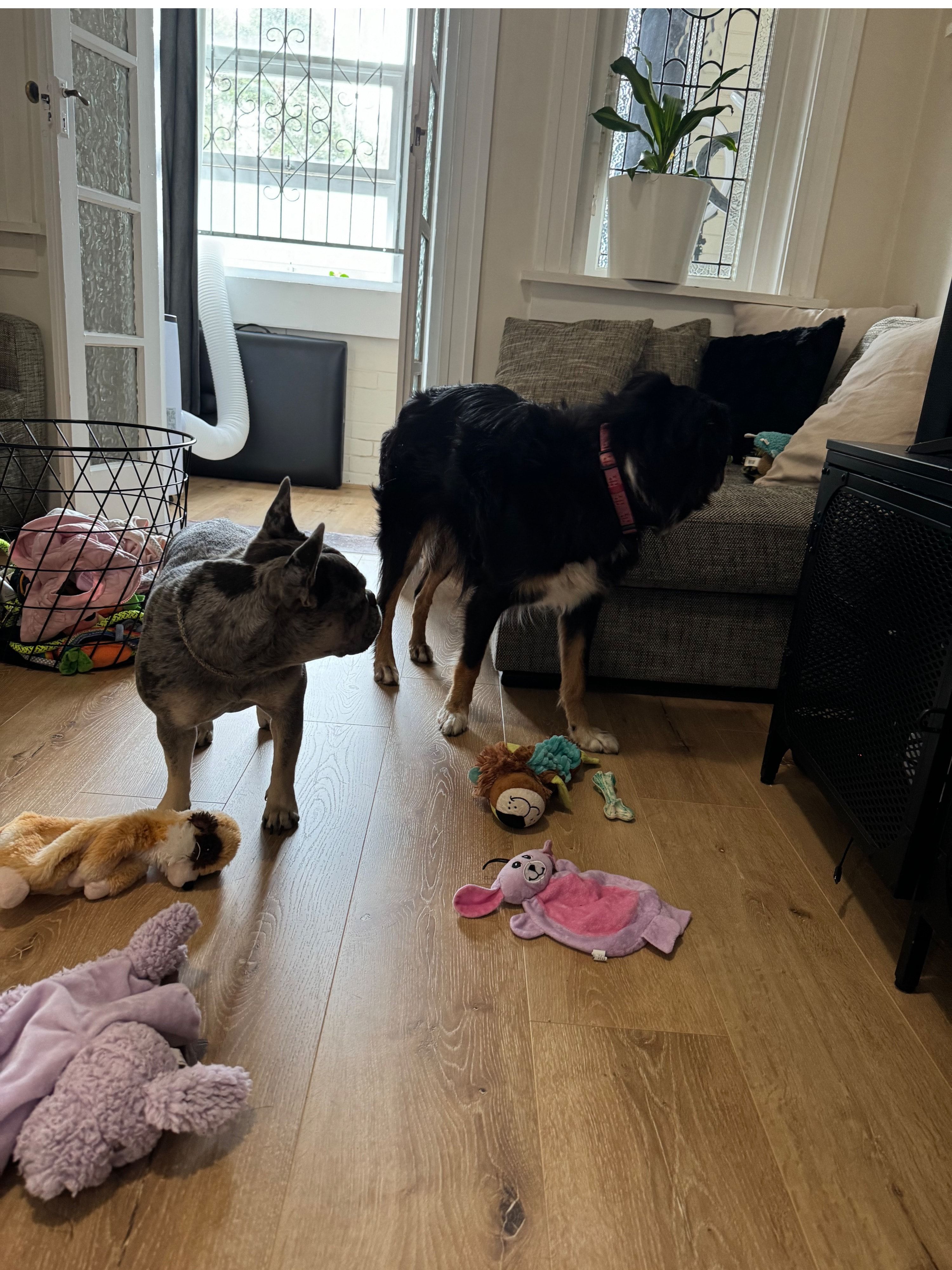 image-32