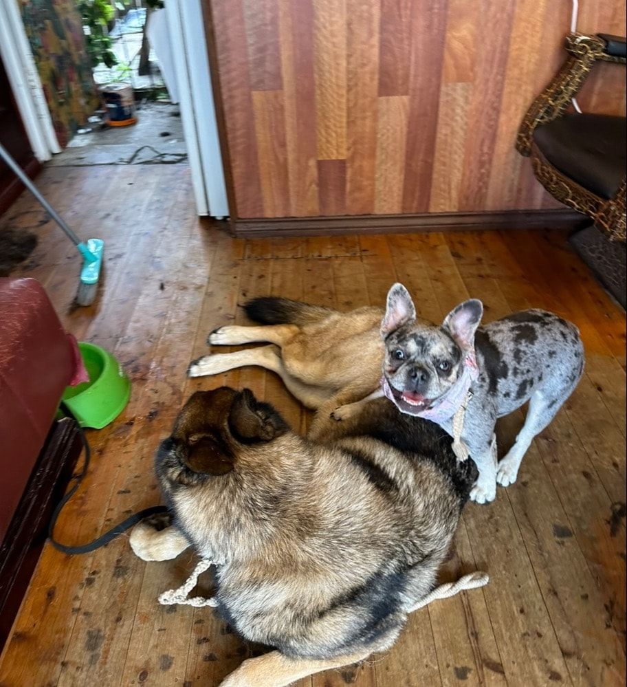 image-9