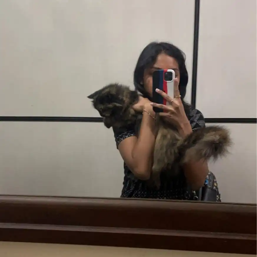 image-7