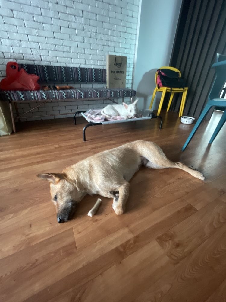 image-4