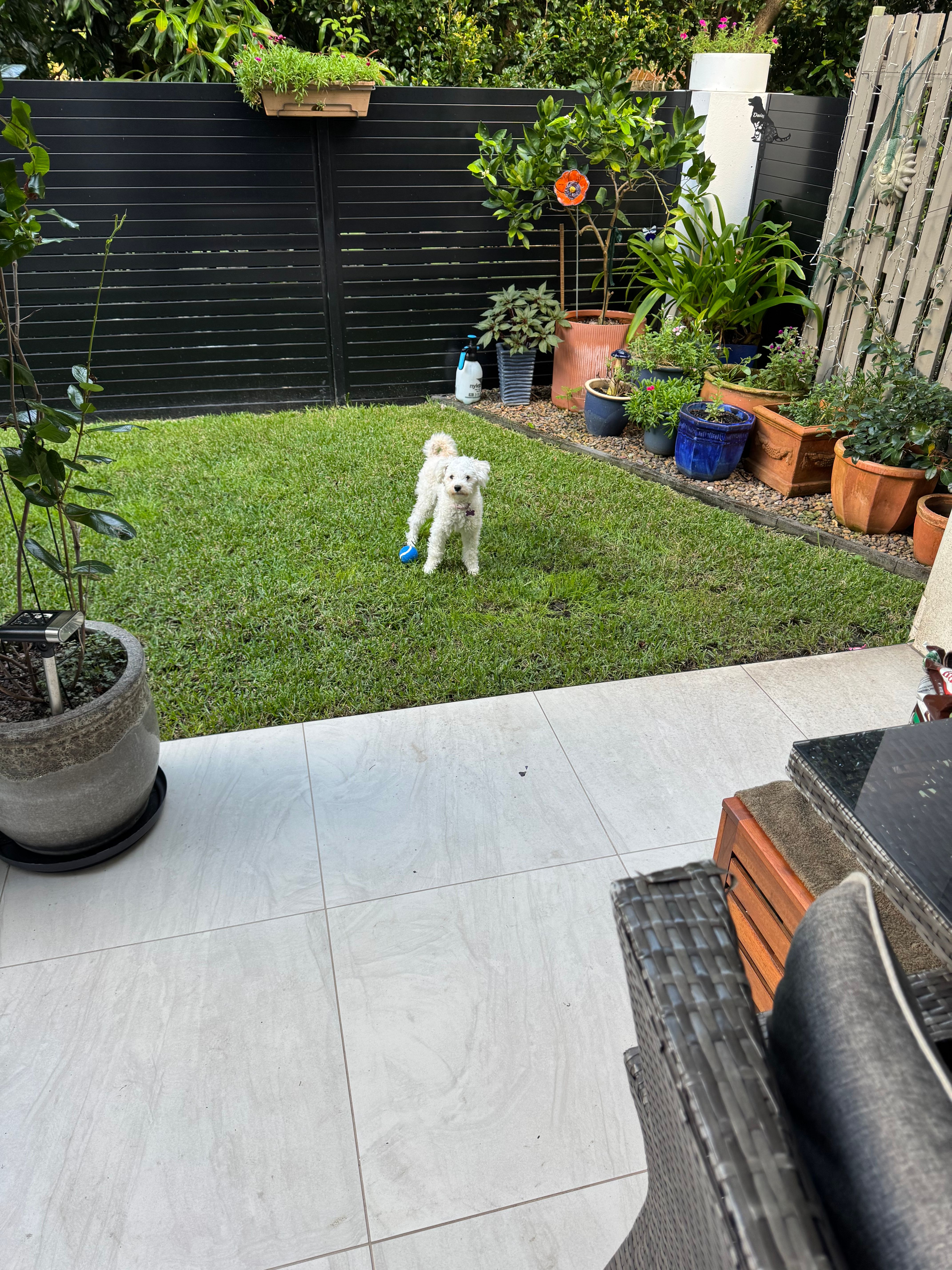 image-7