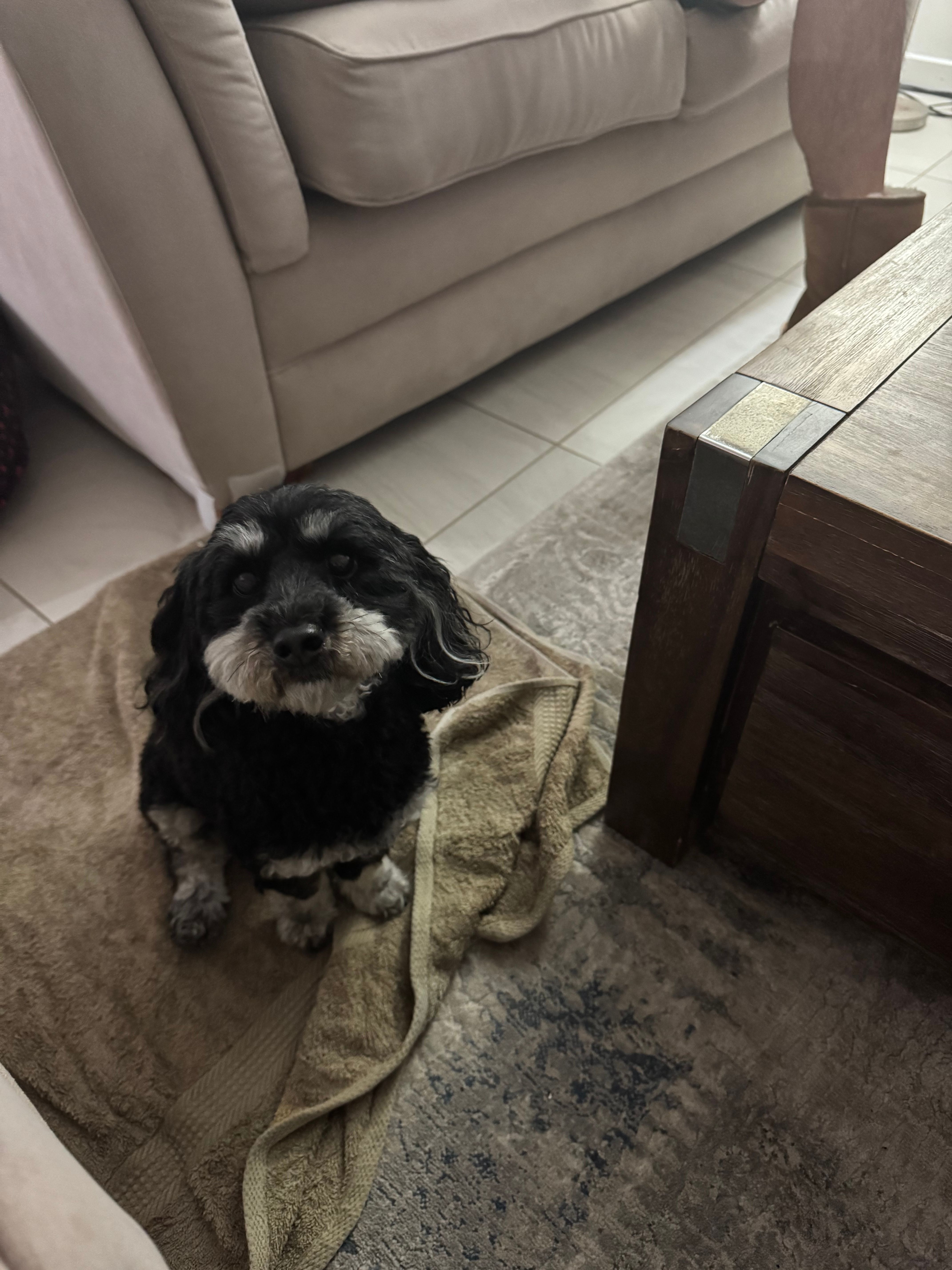 image-8
