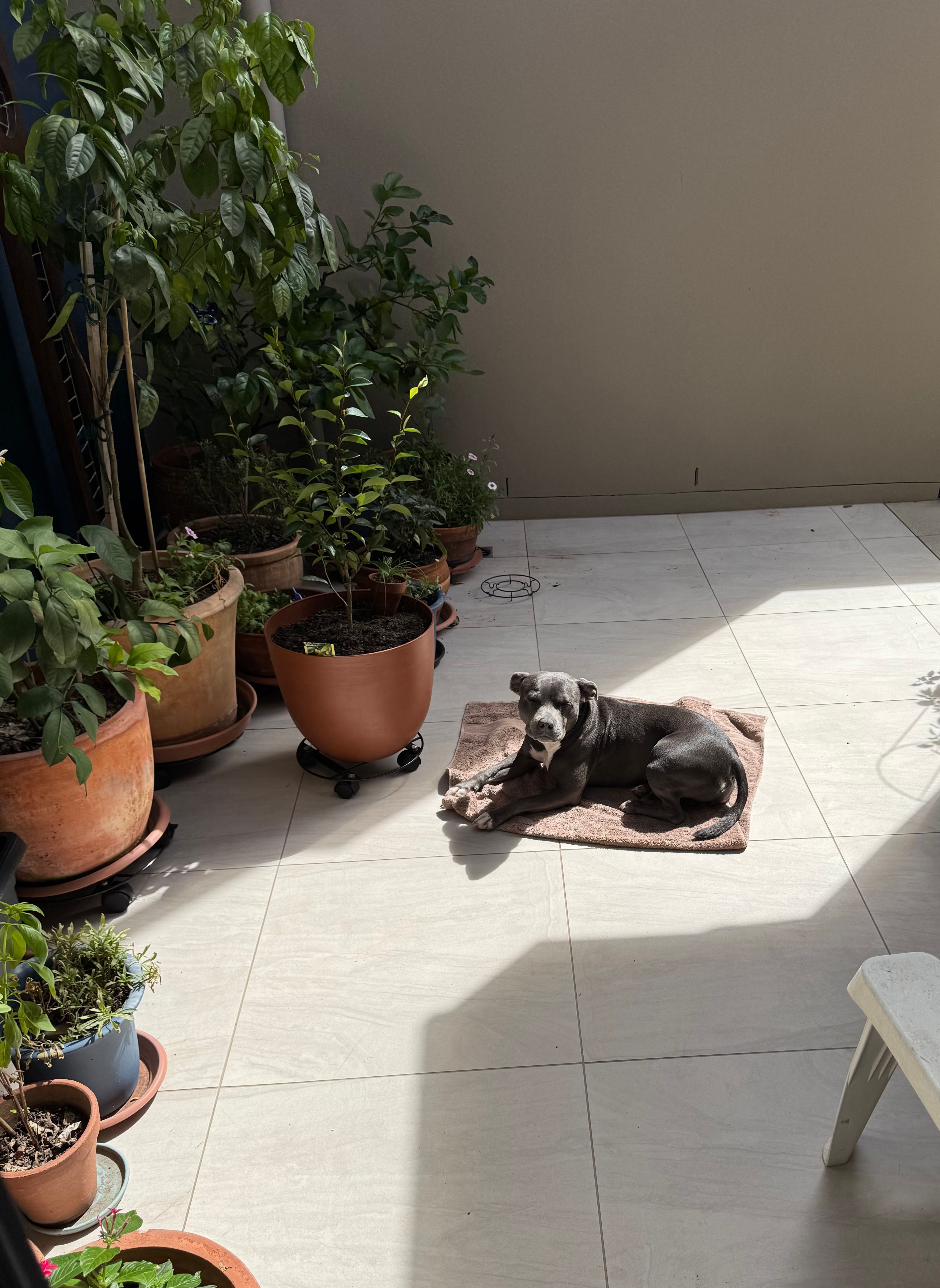 image-5