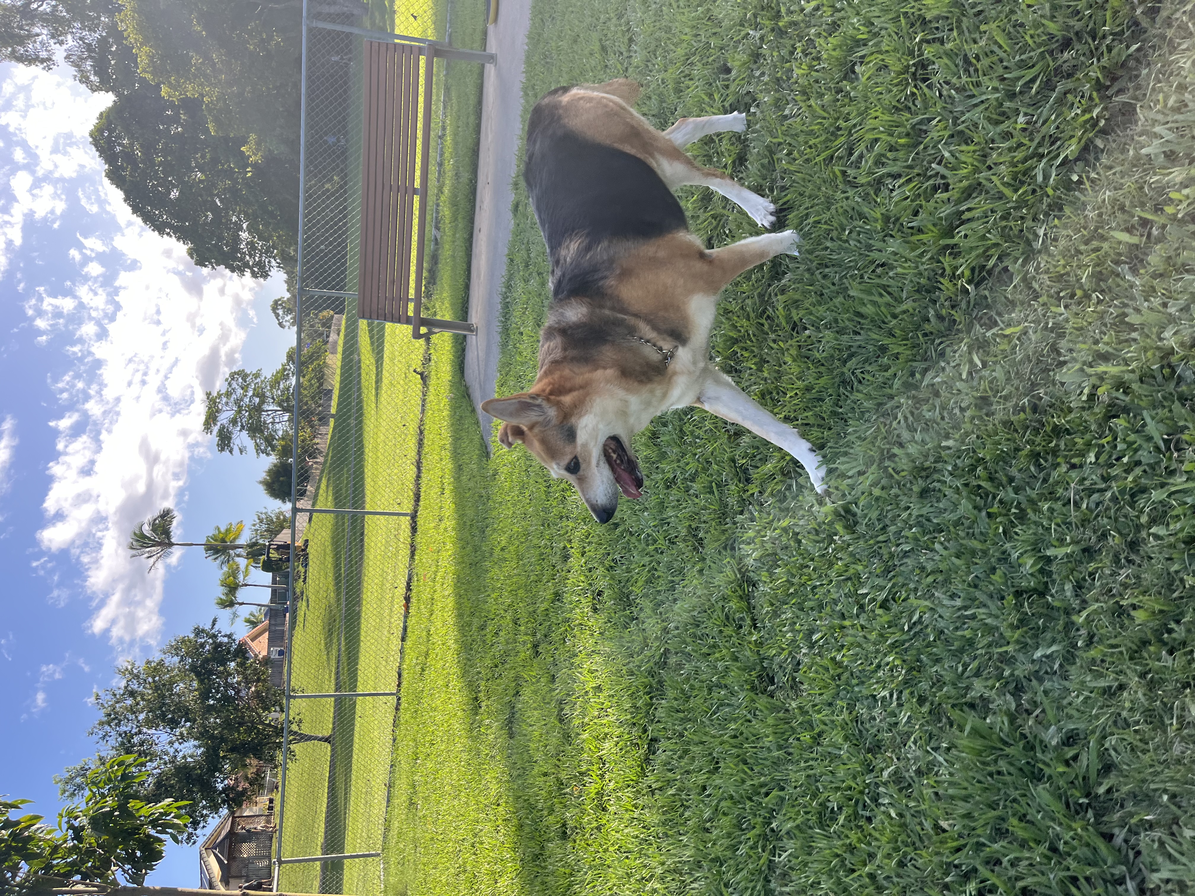 image-18