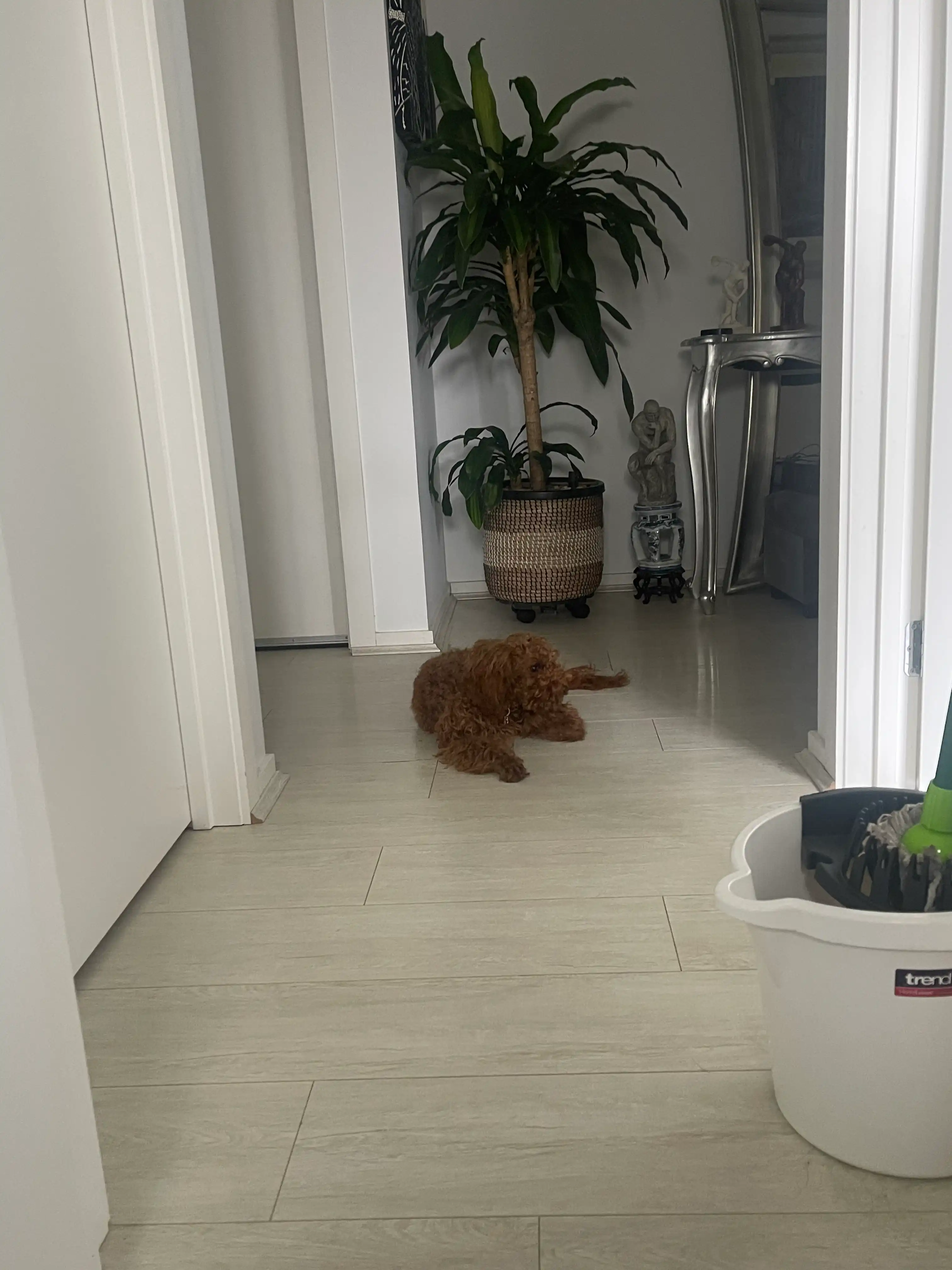 image-18