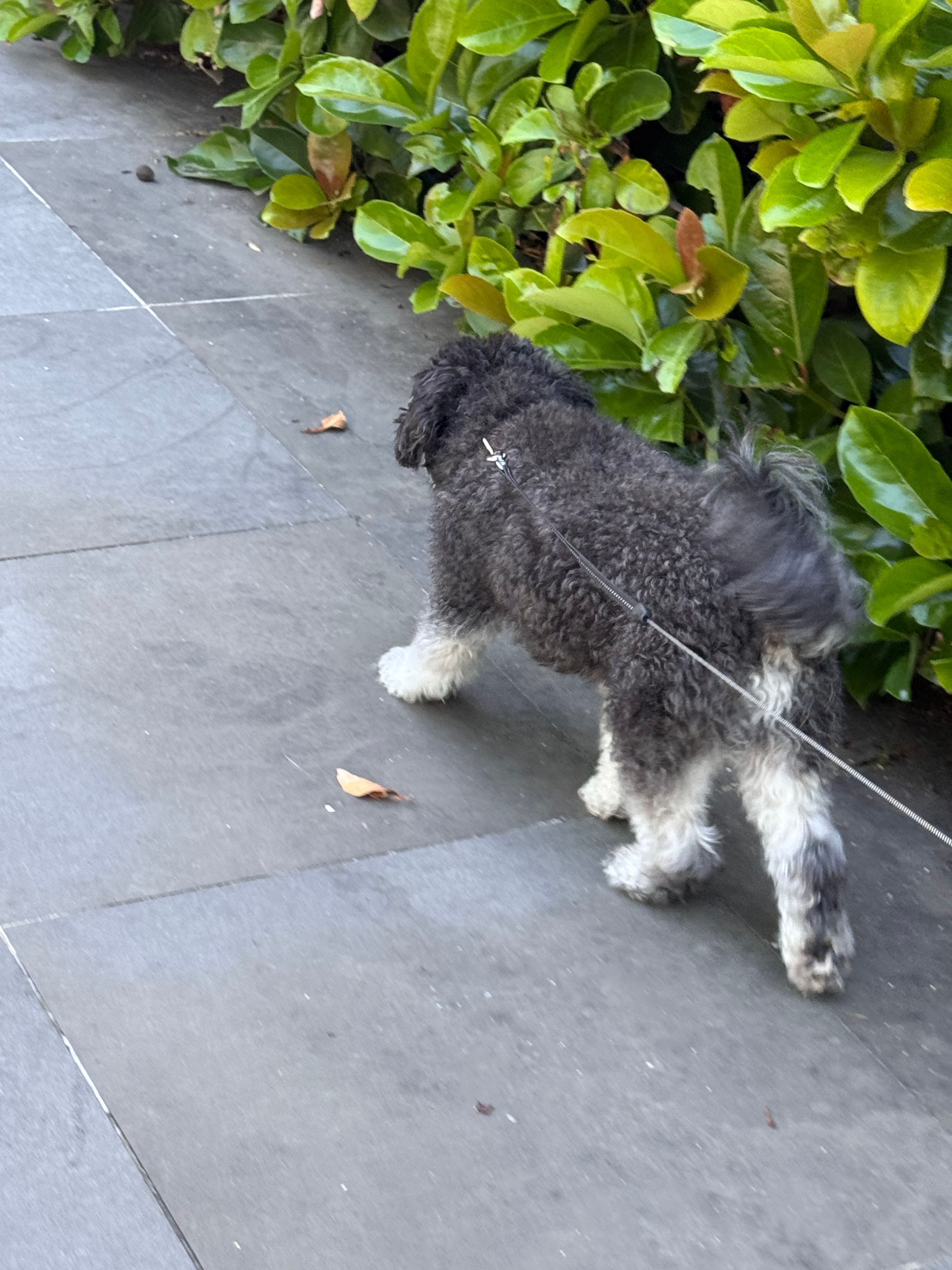 image-9