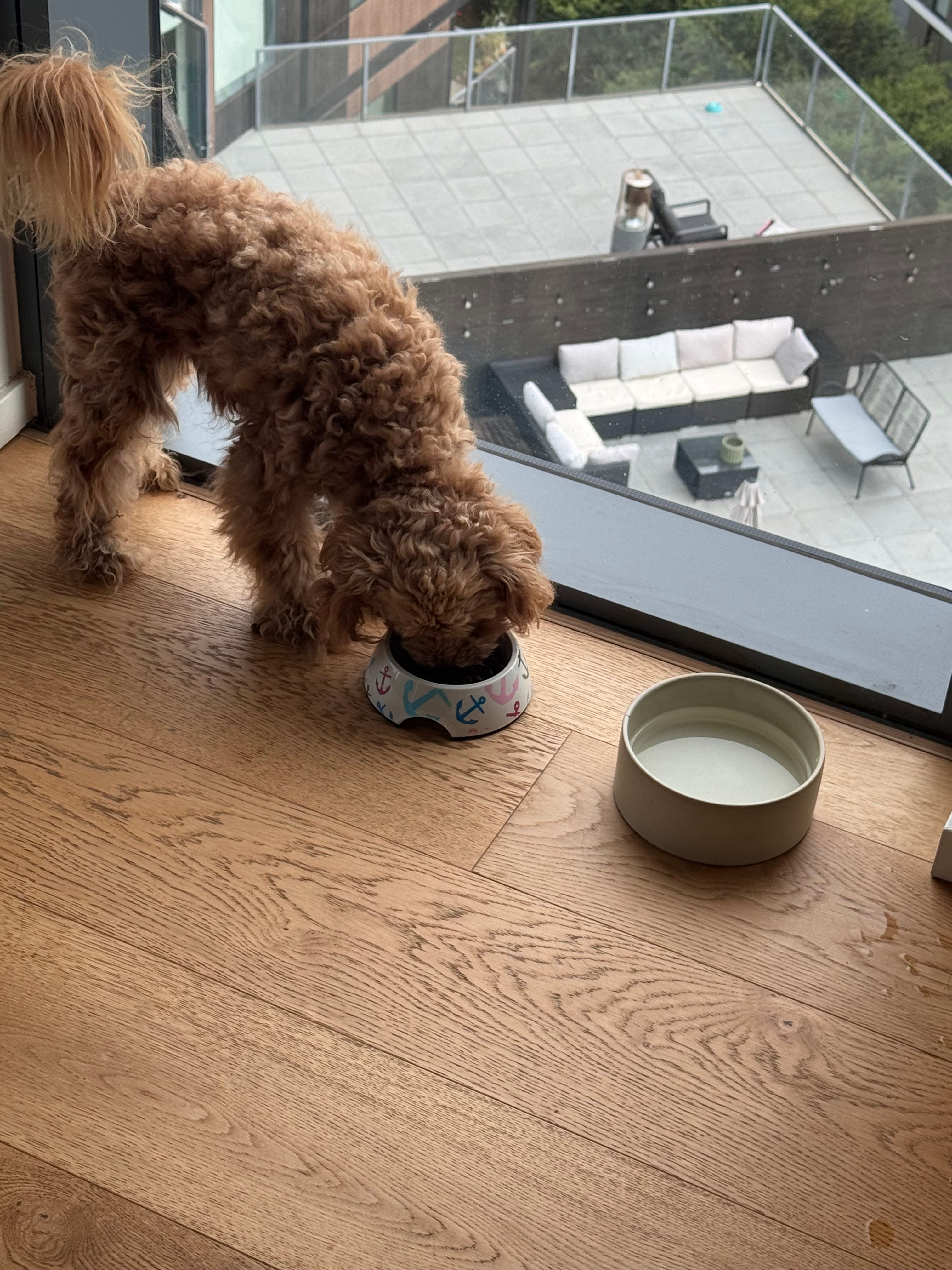 image-11