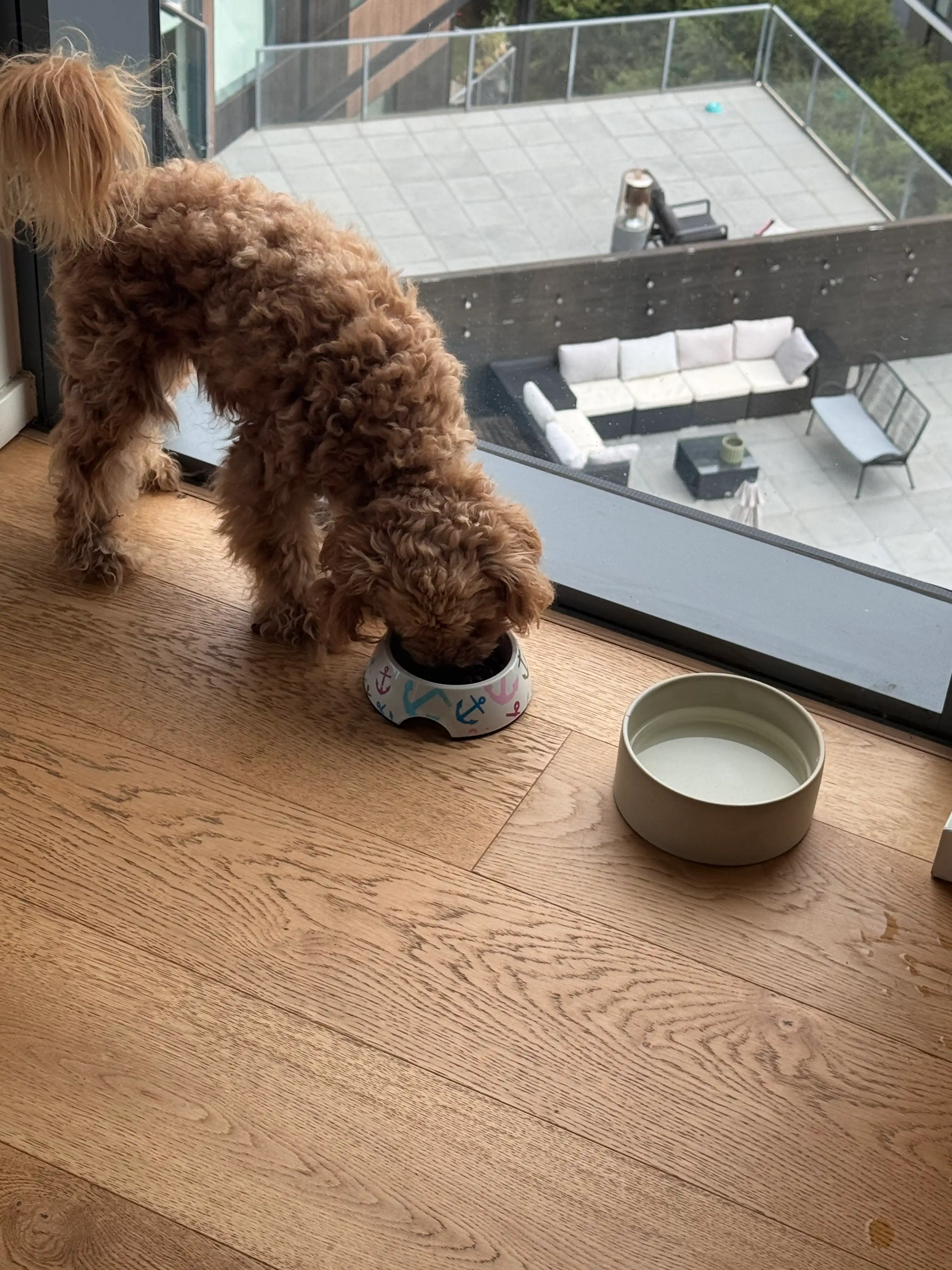 image-11