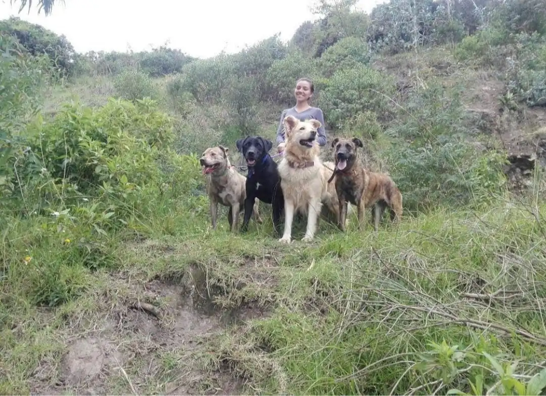 image-5
