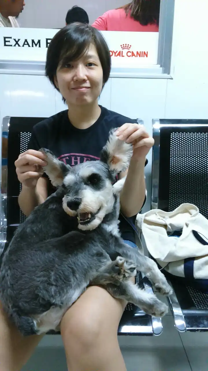 image-8