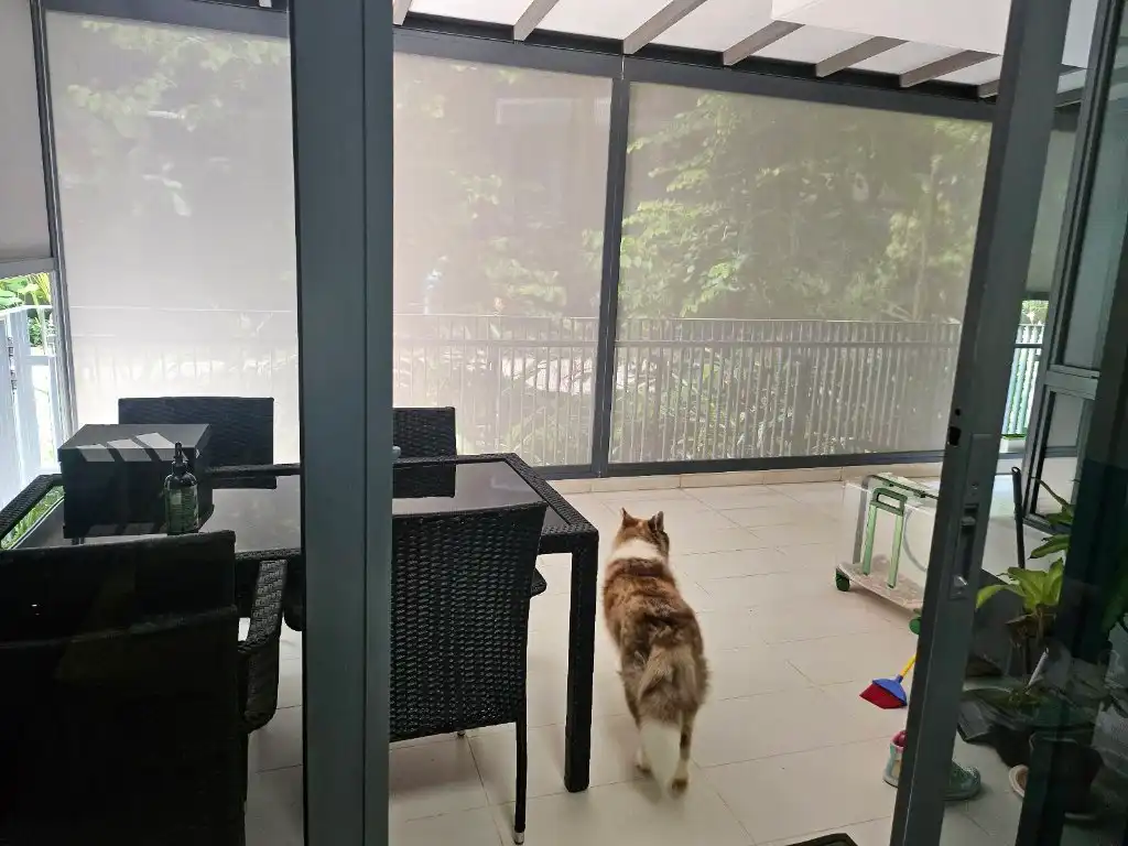 image-5