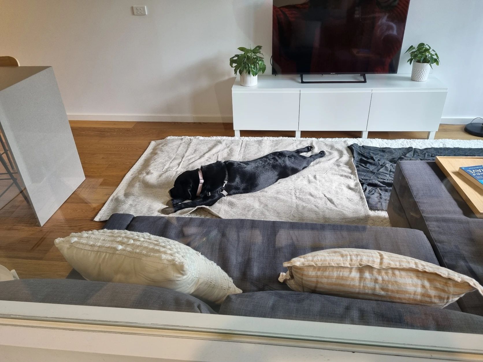 image-18