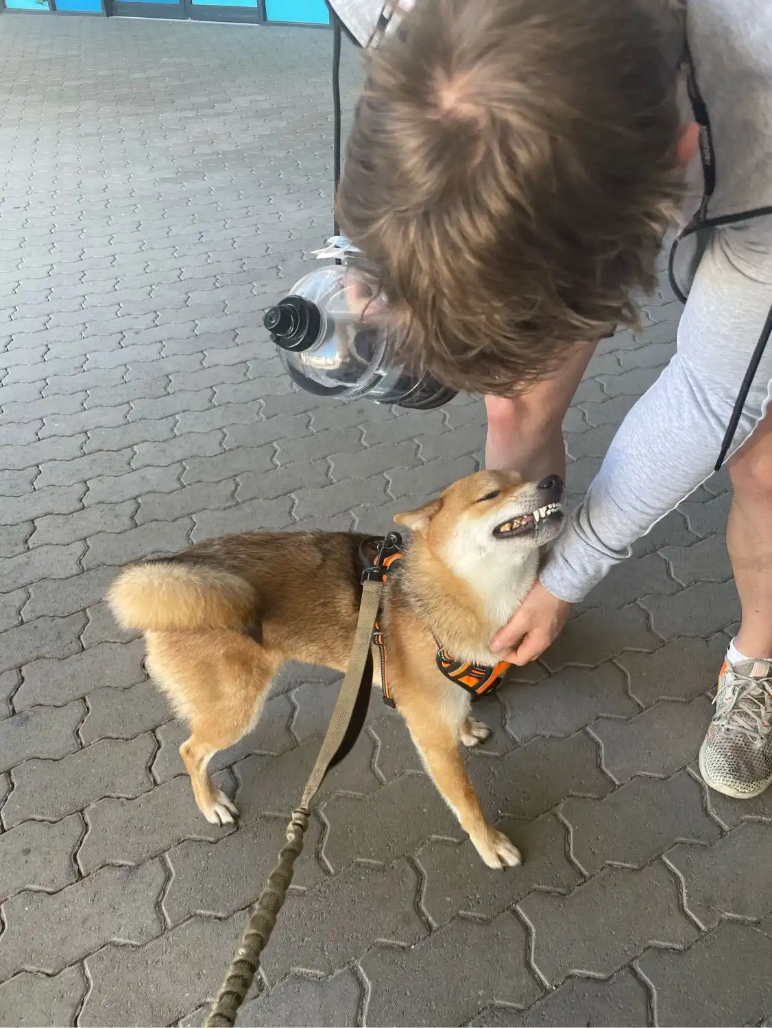 image-18