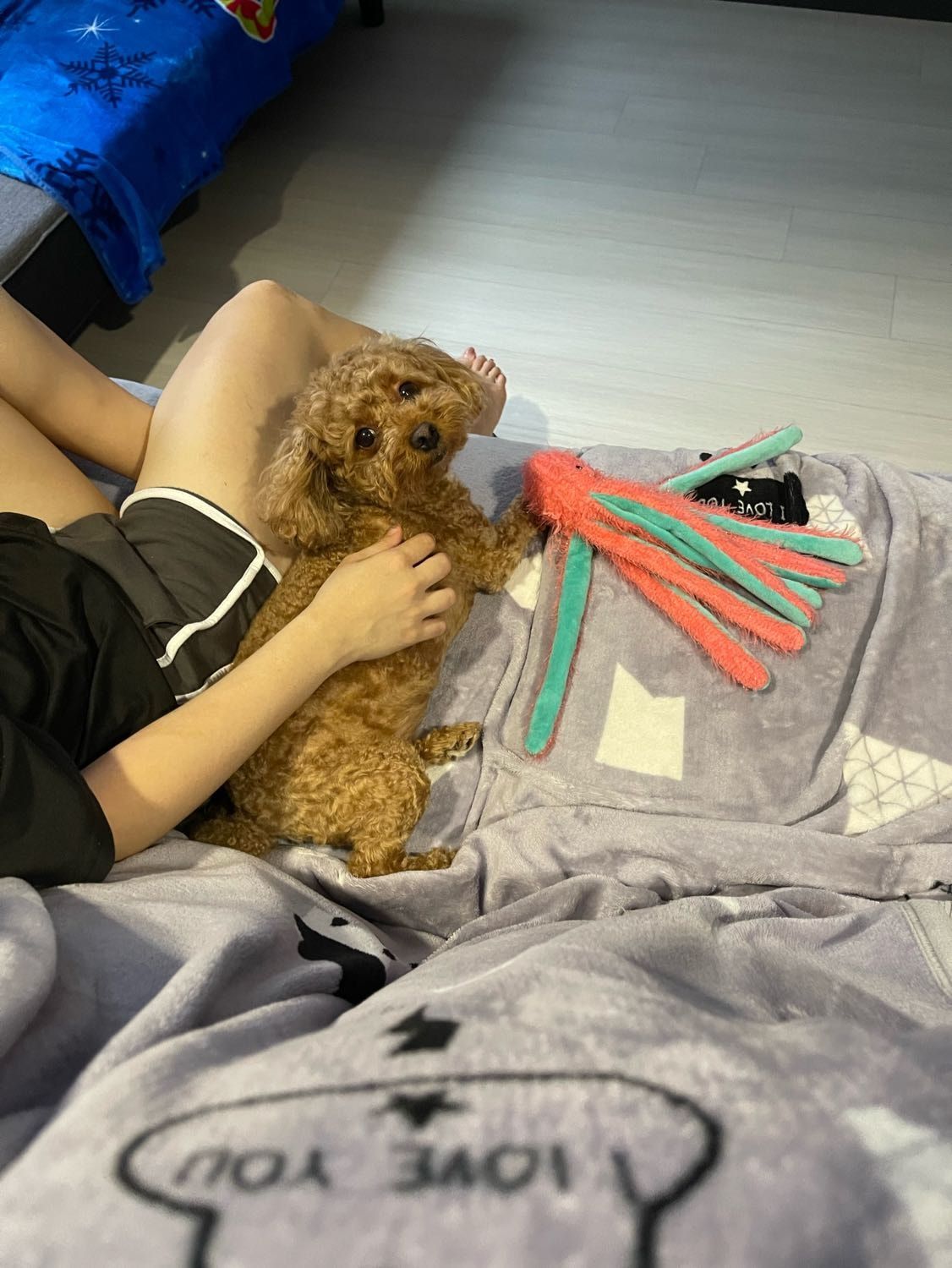 image-8