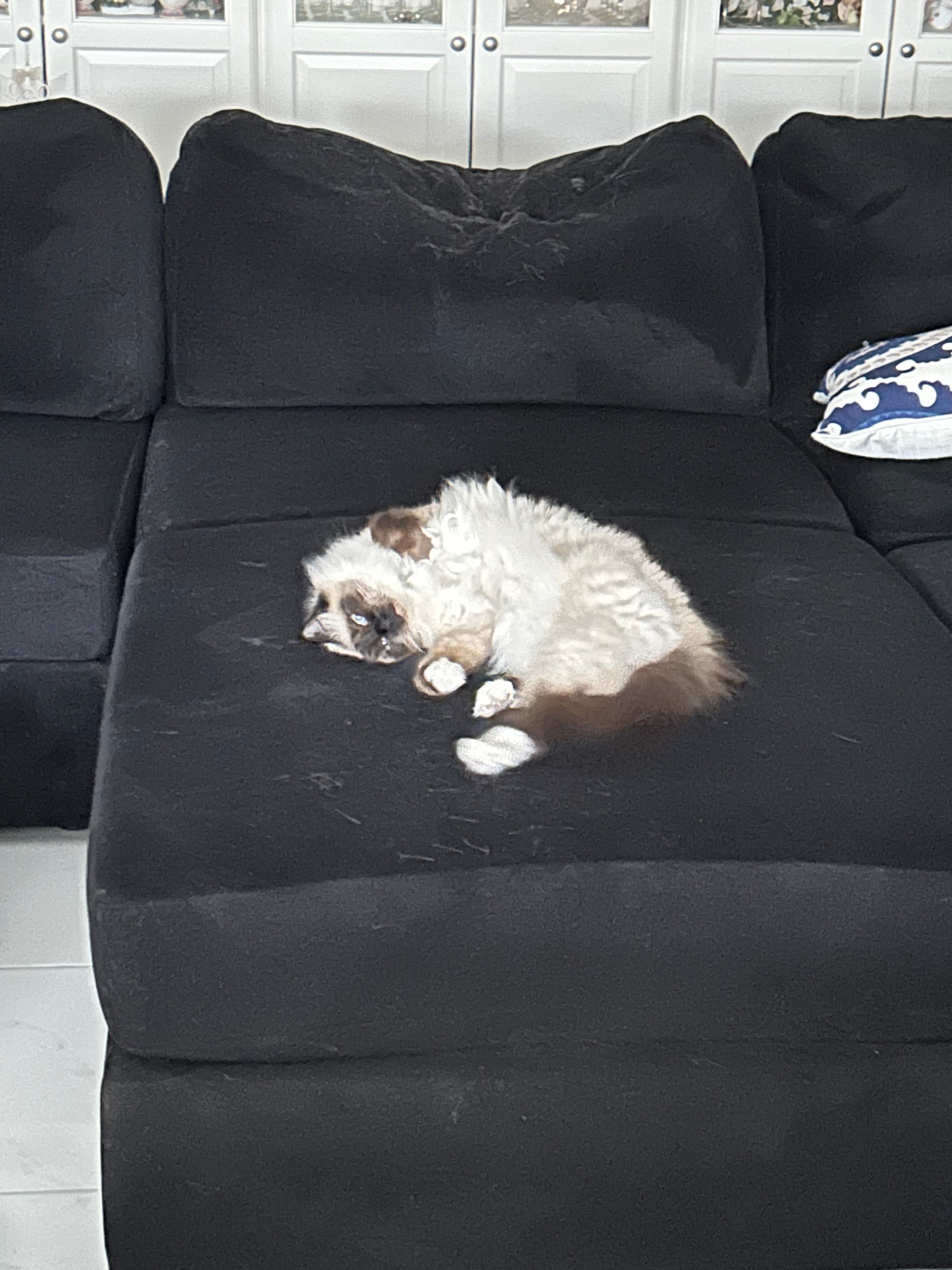 image-7