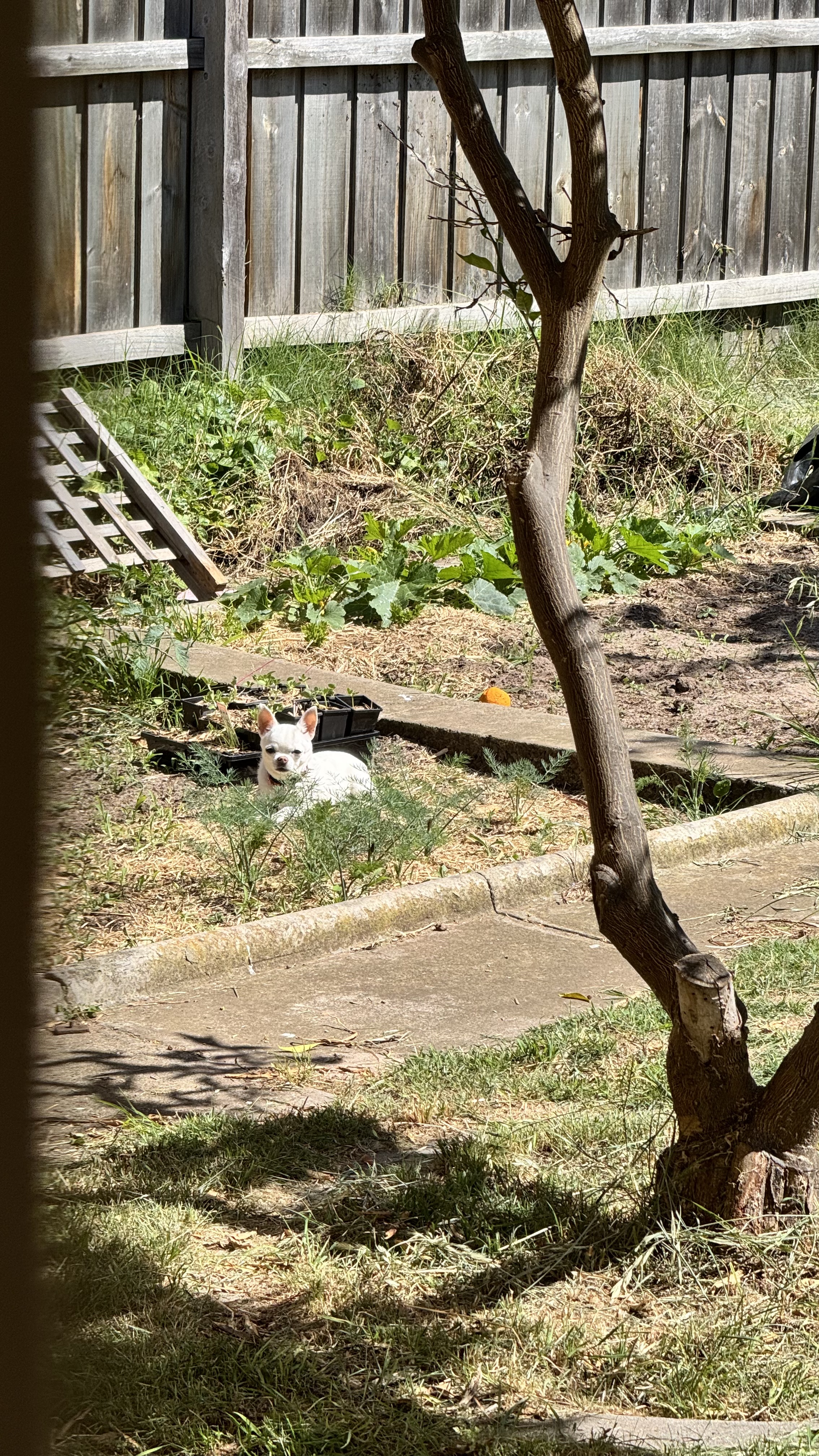 image-11