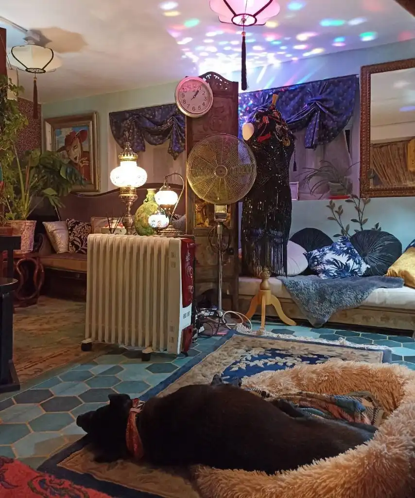 image-15