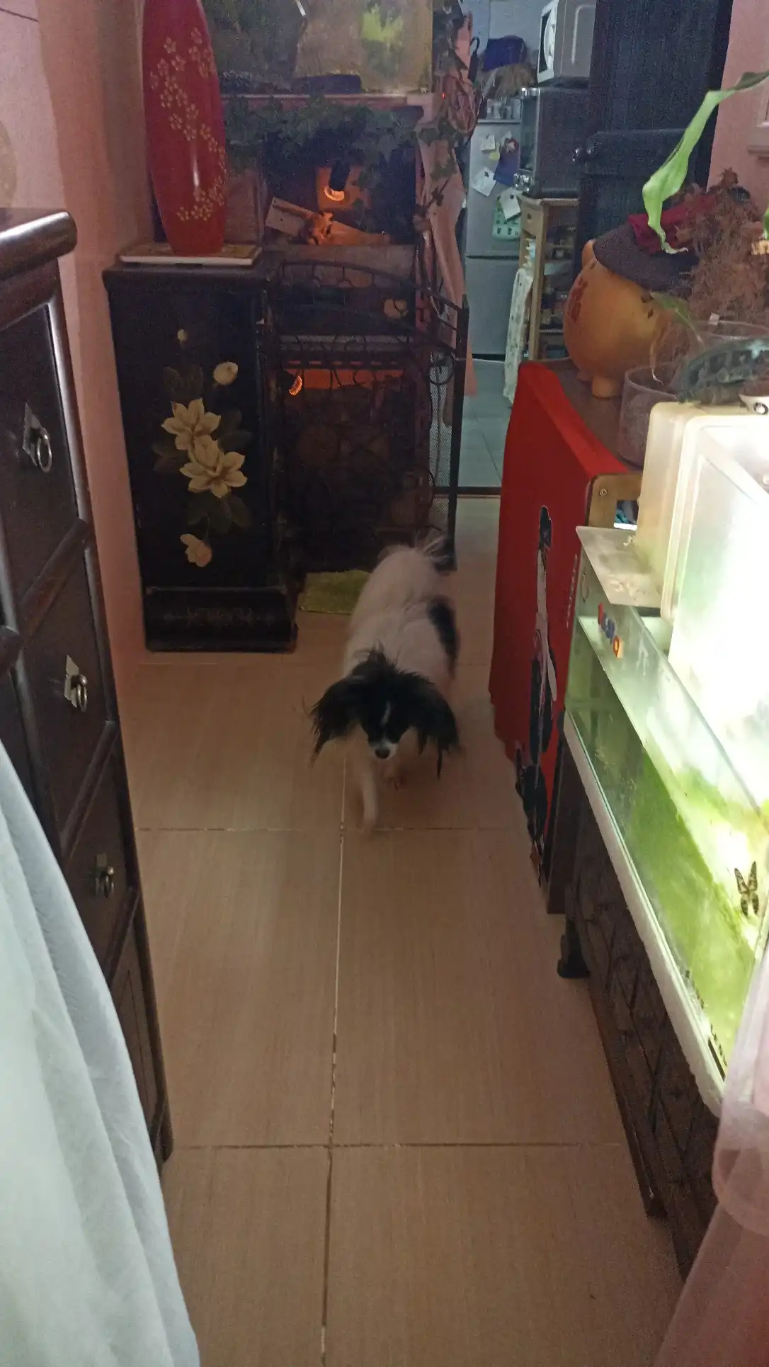 image-13