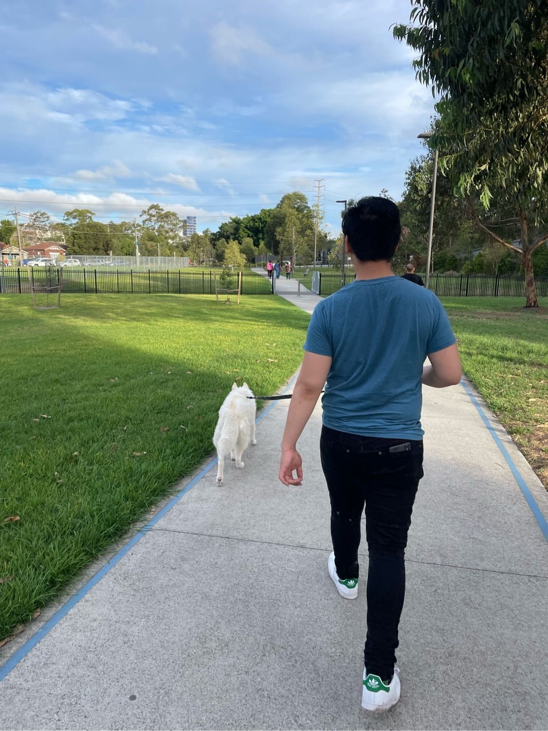 image-12
