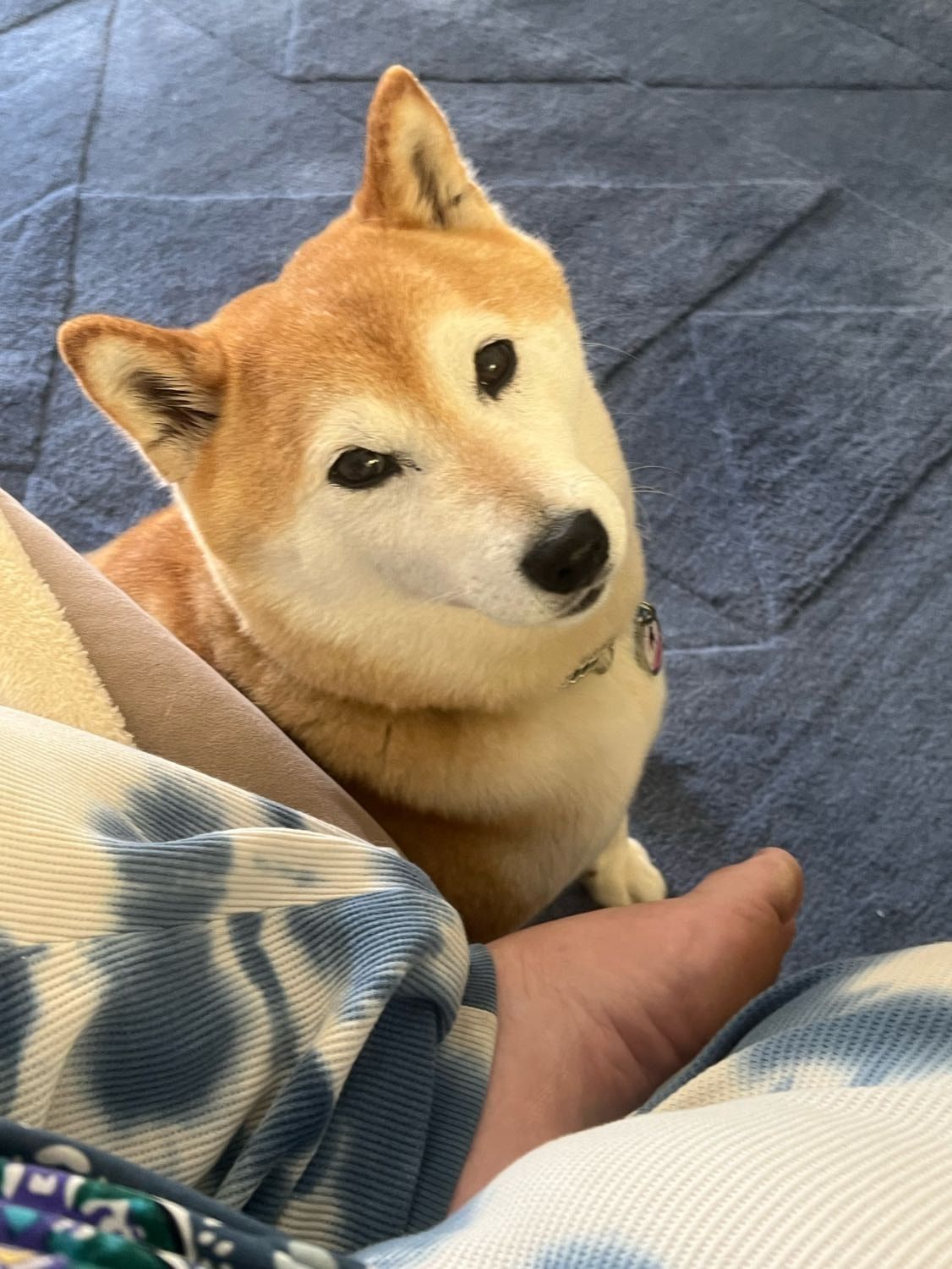 image-8
