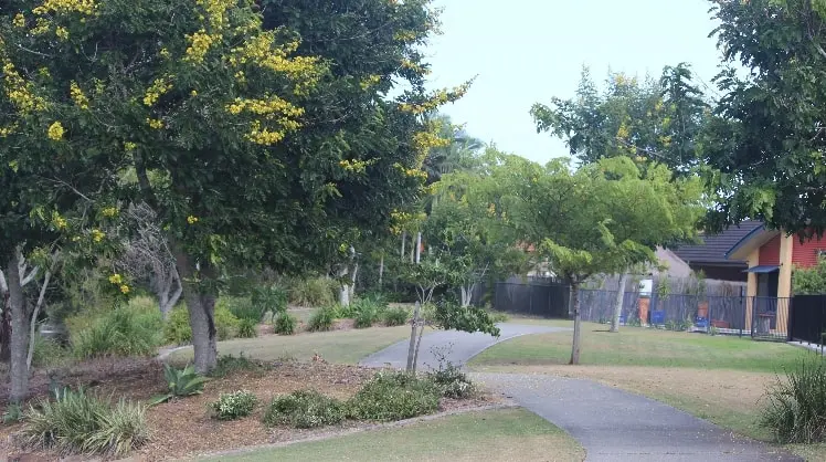 image-4