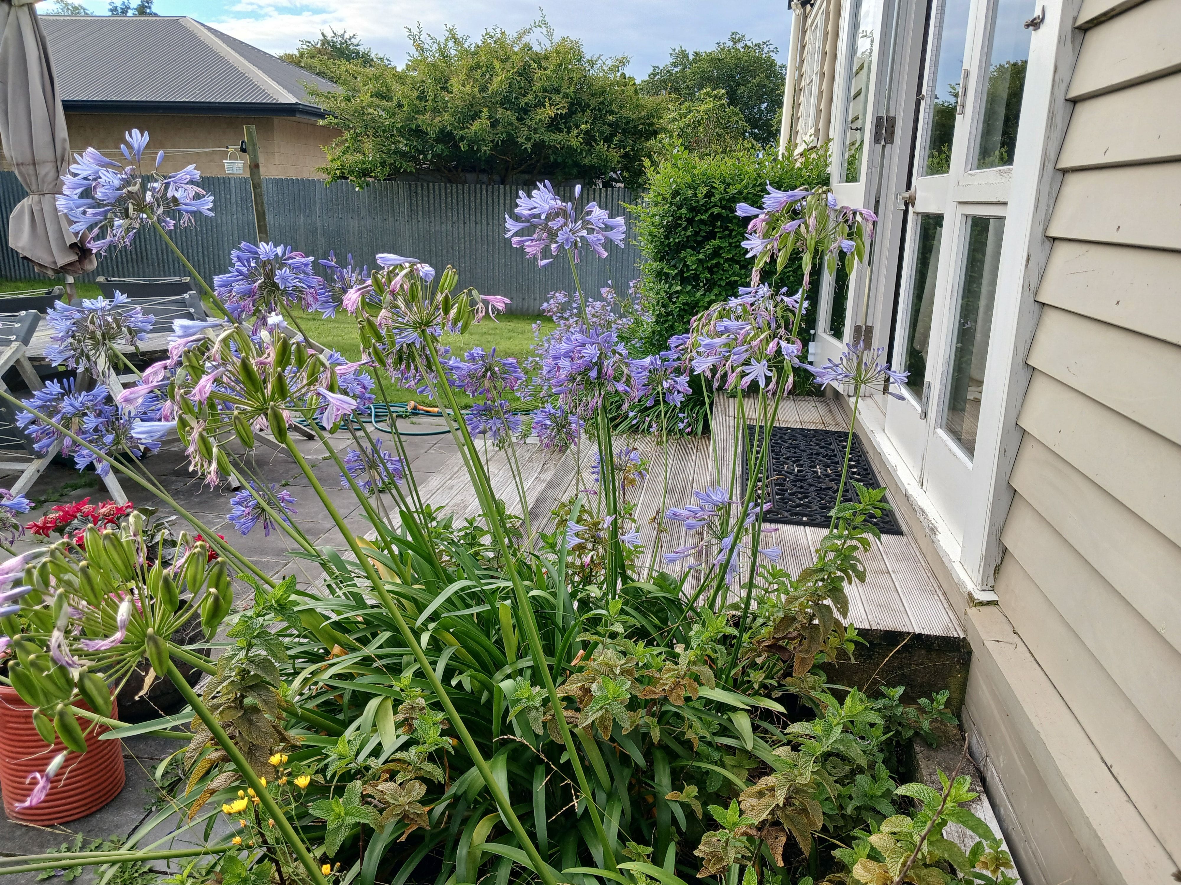 image-11