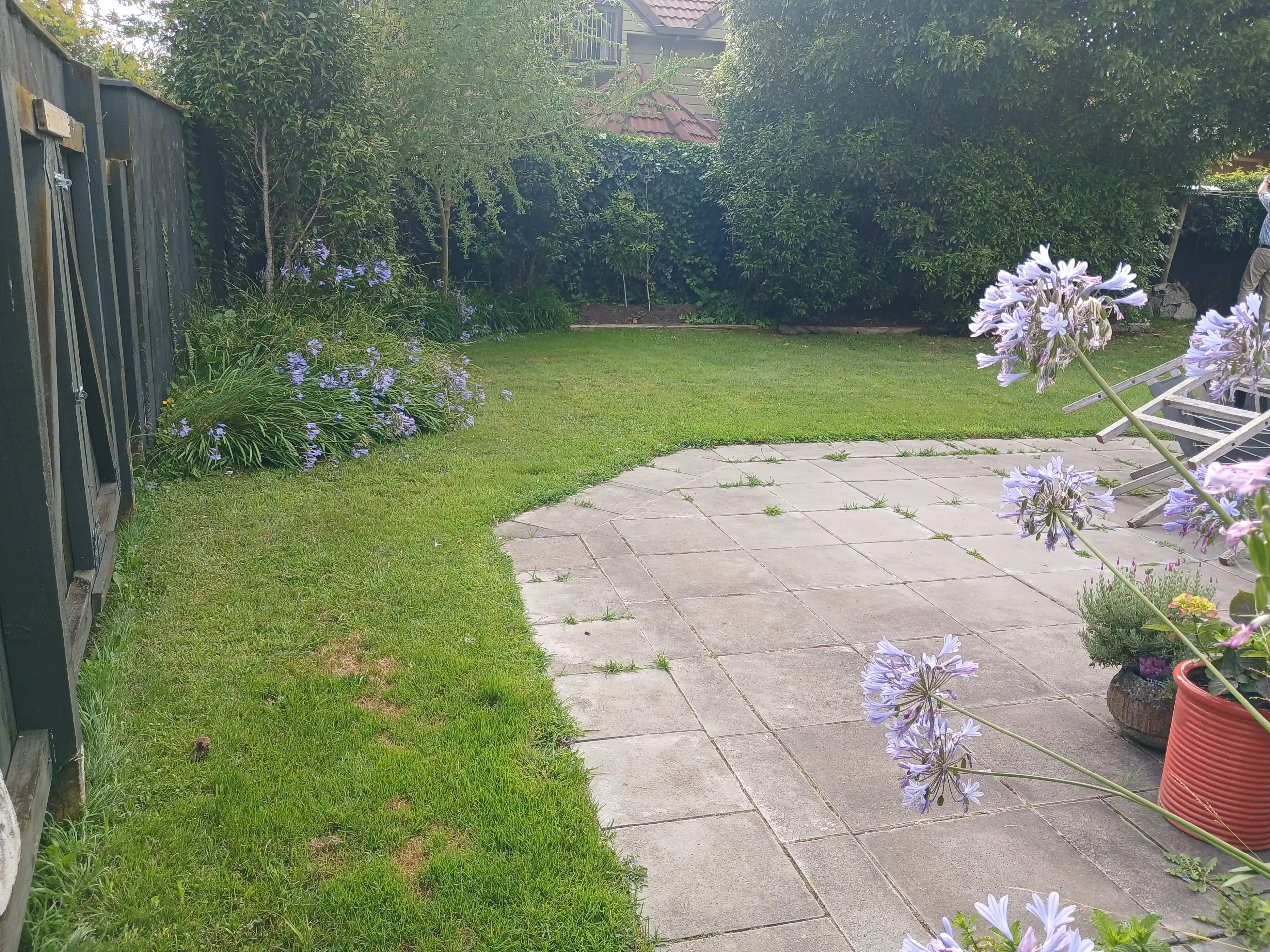 image-14