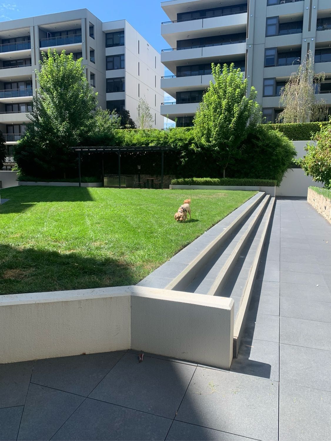 image-14