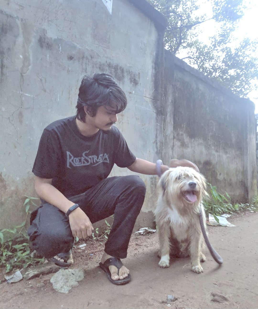 image-7
