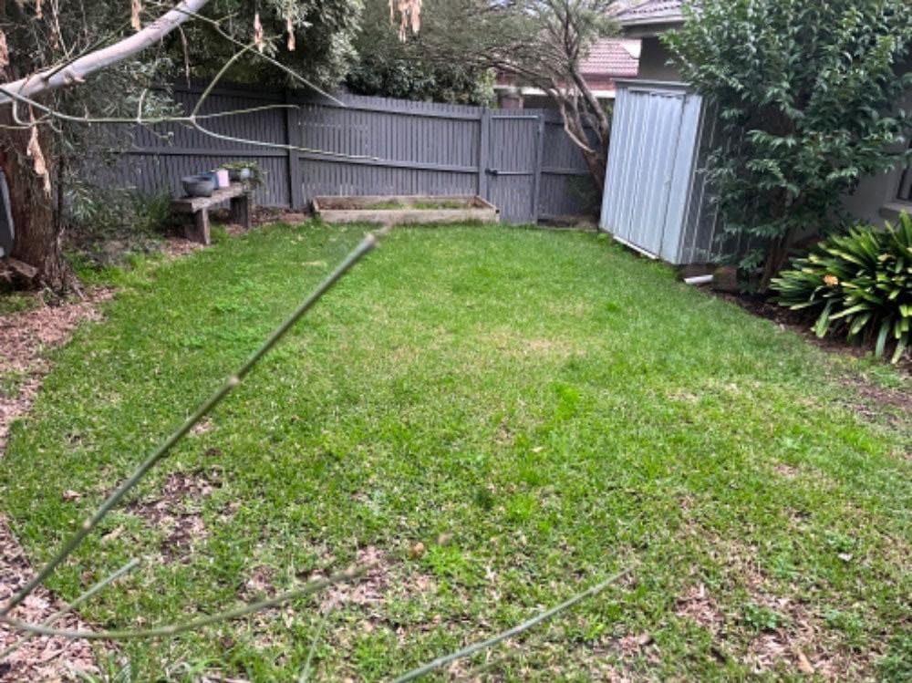 image-14
