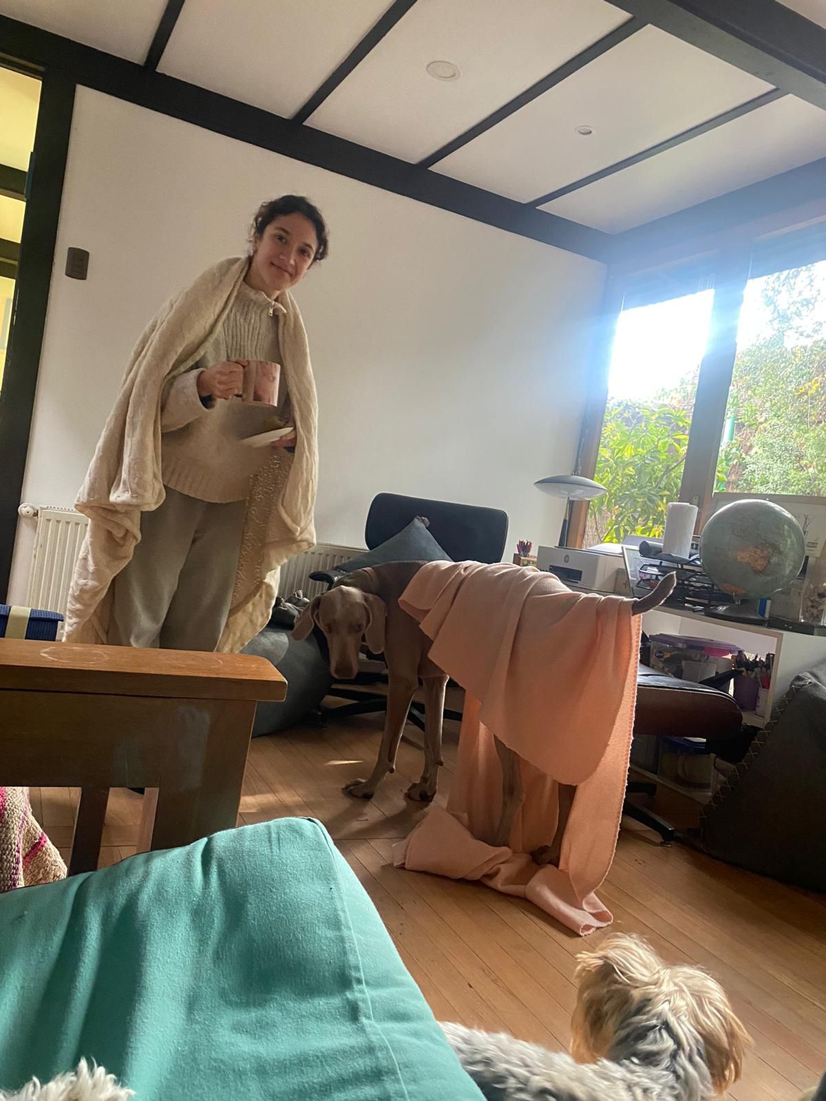 image-4