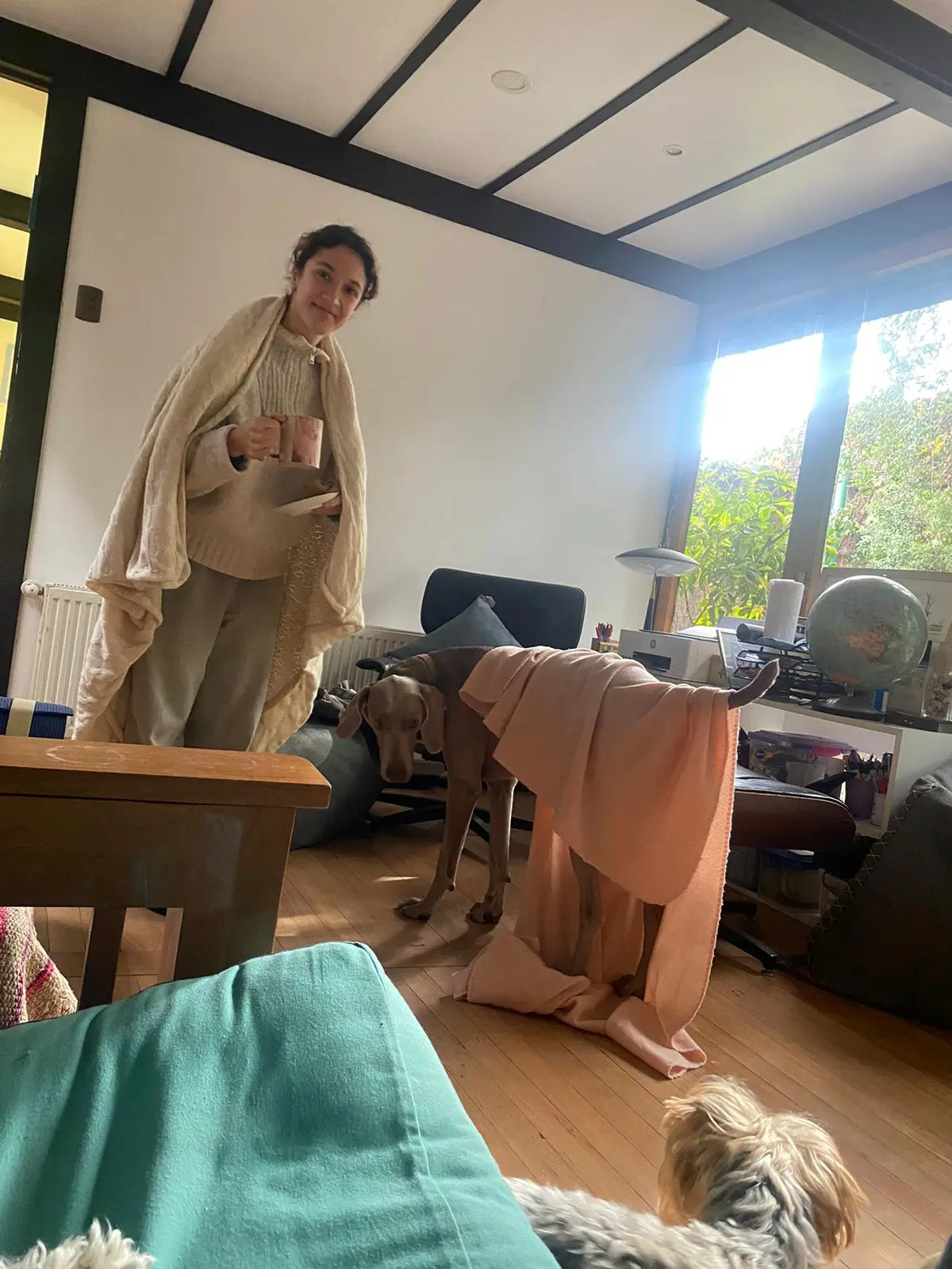 image-4