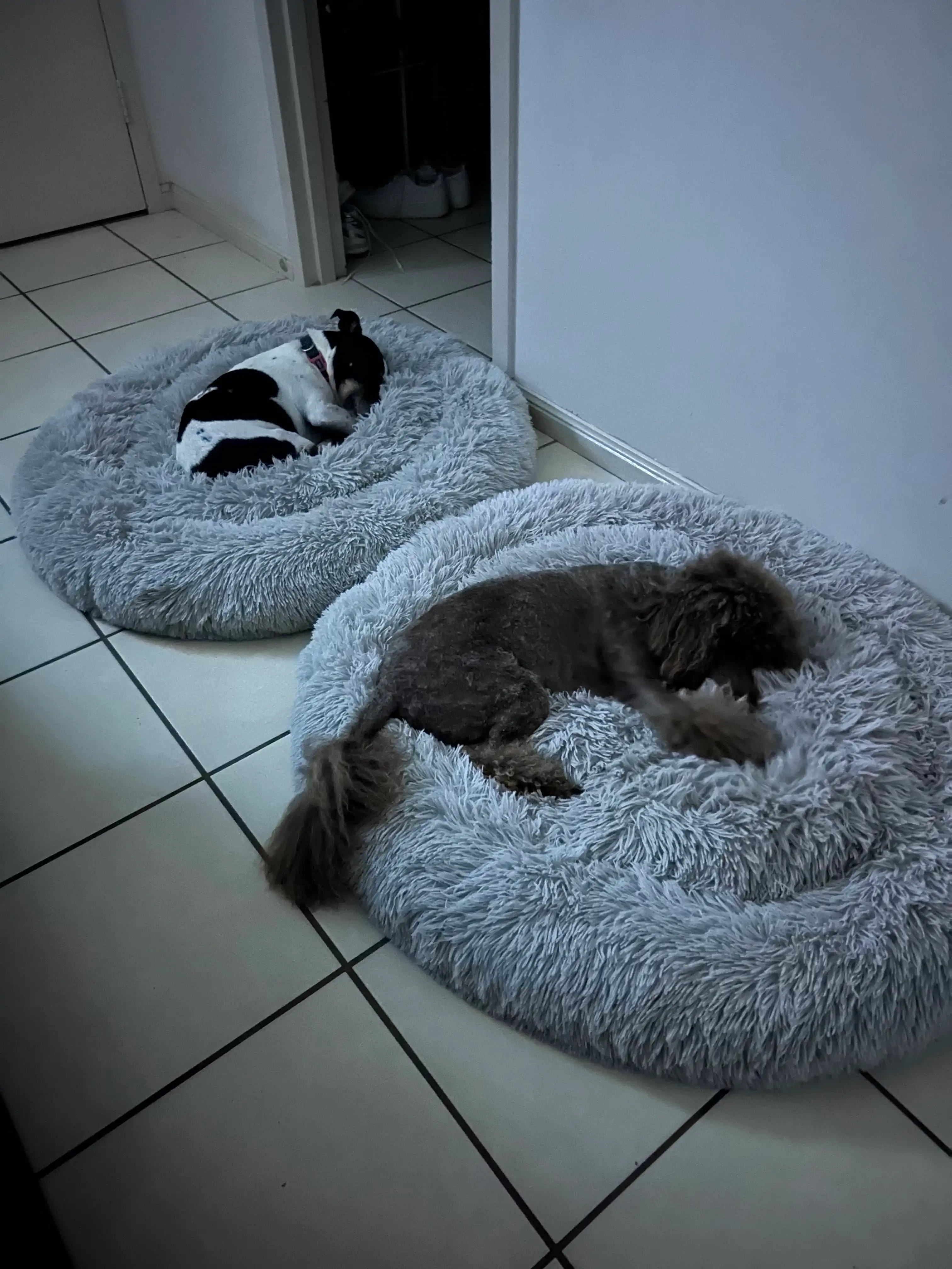 image-7