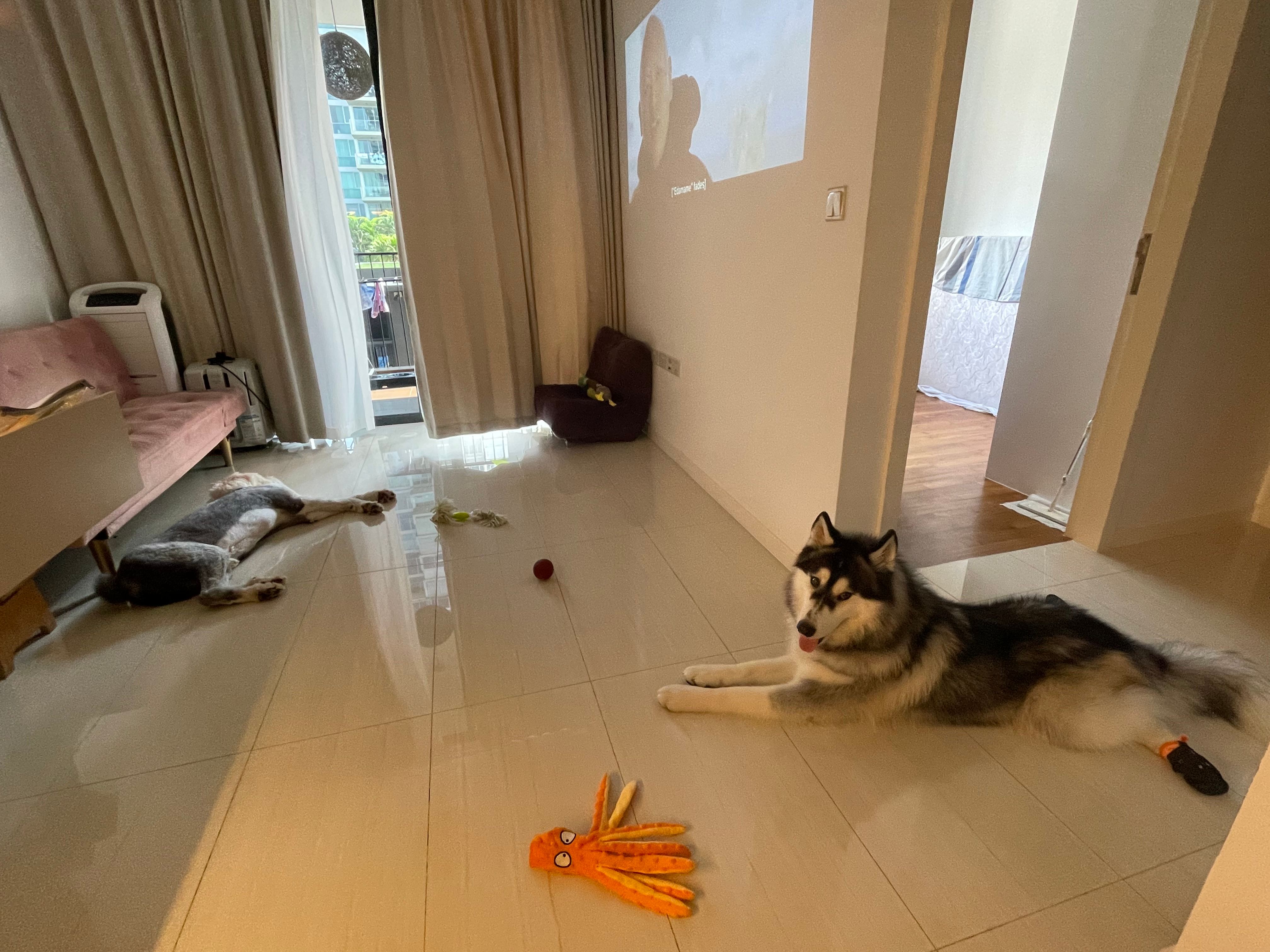 image-11