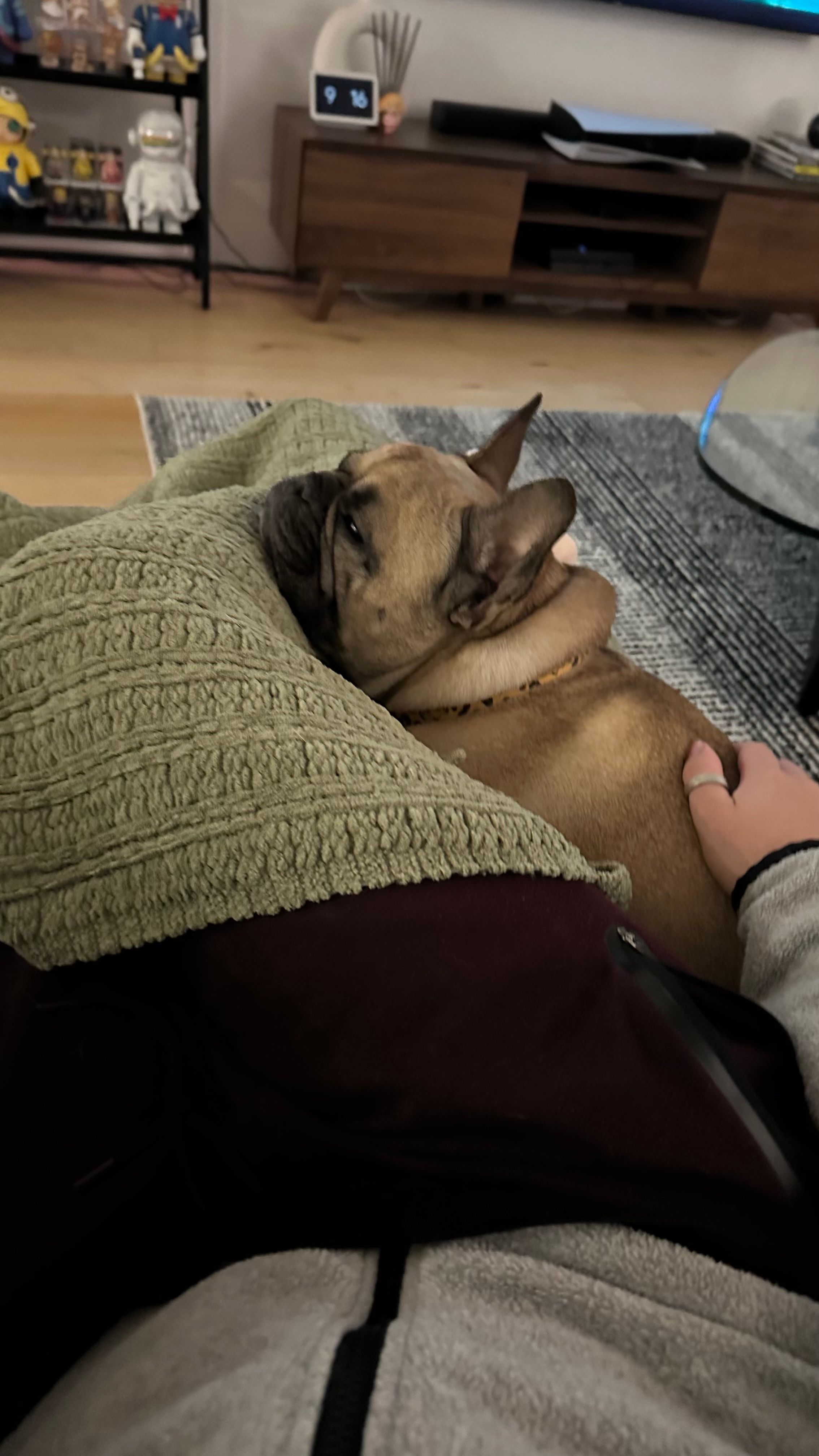image-9
