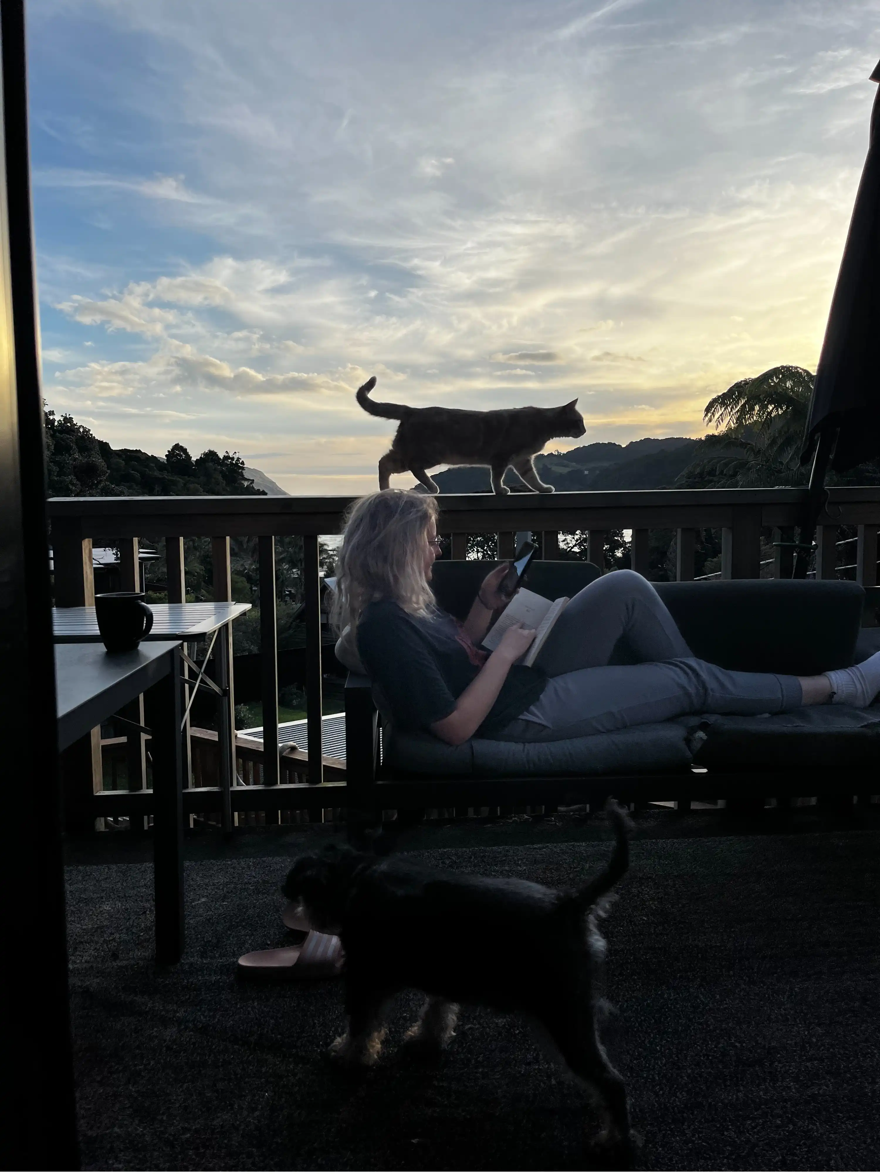 image-7