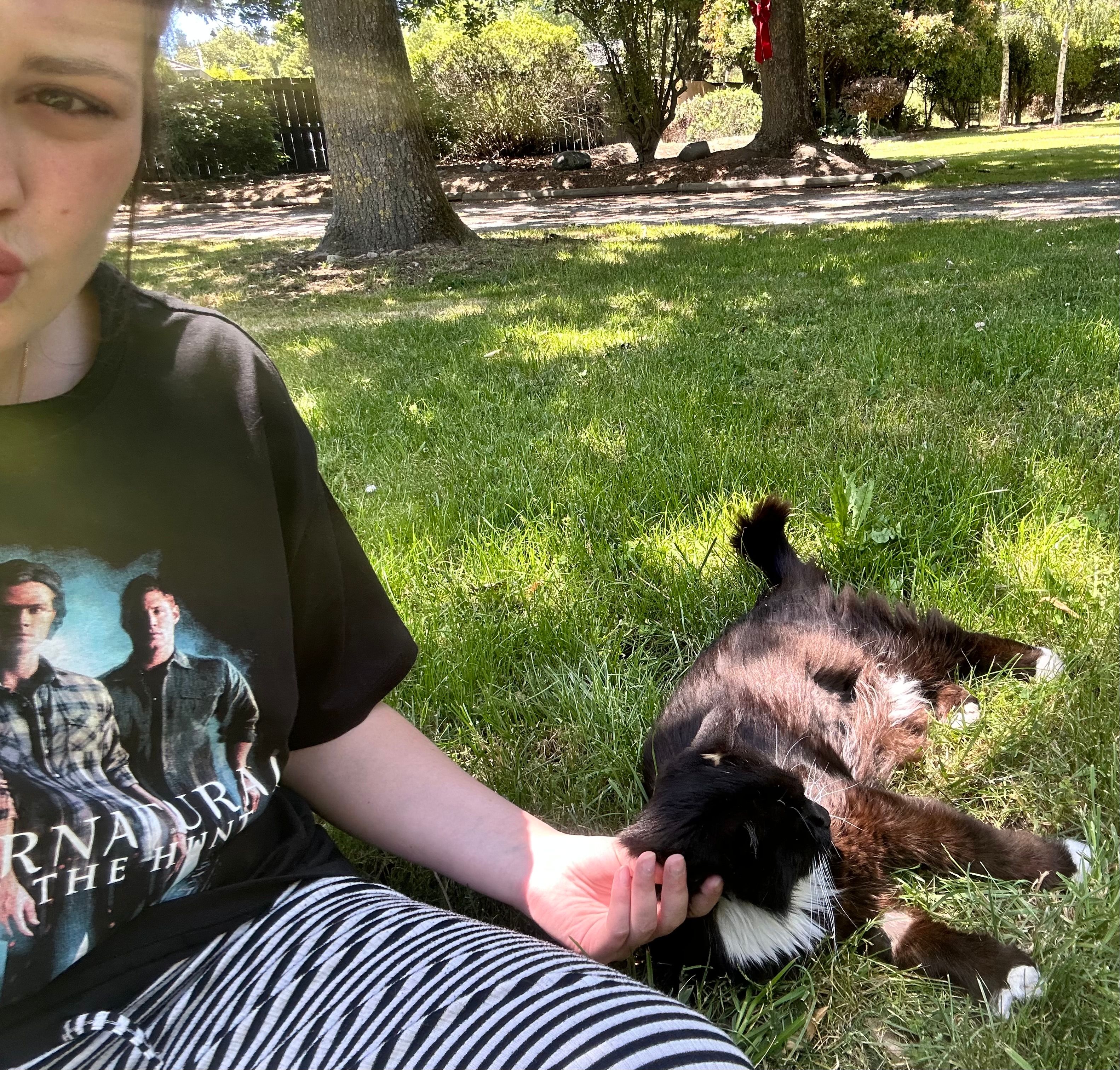 image-6