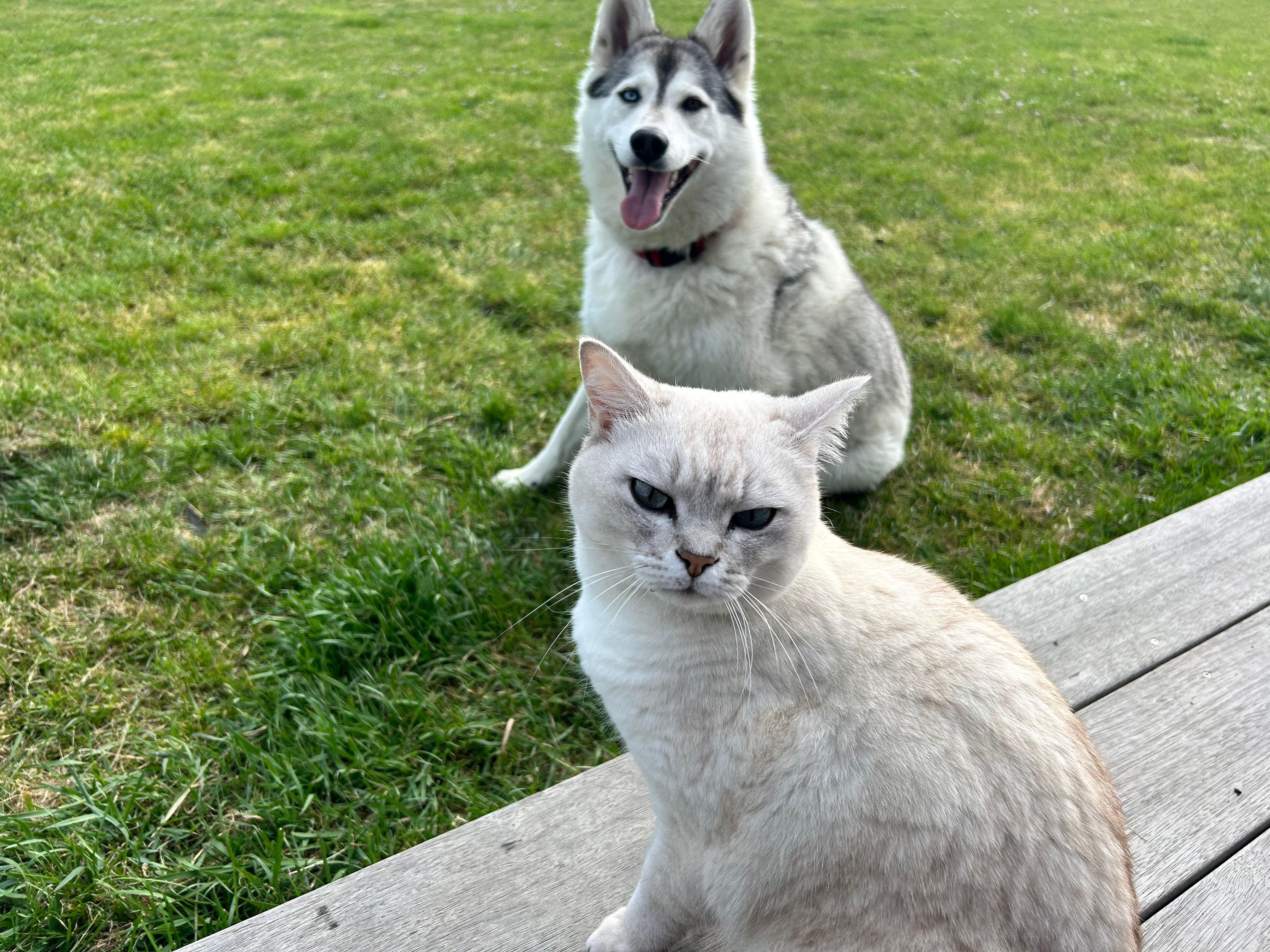 image-9