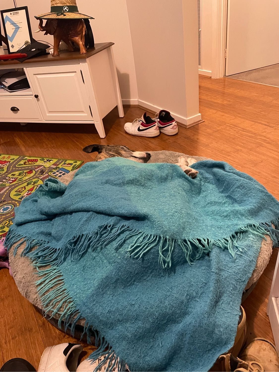 image-12
