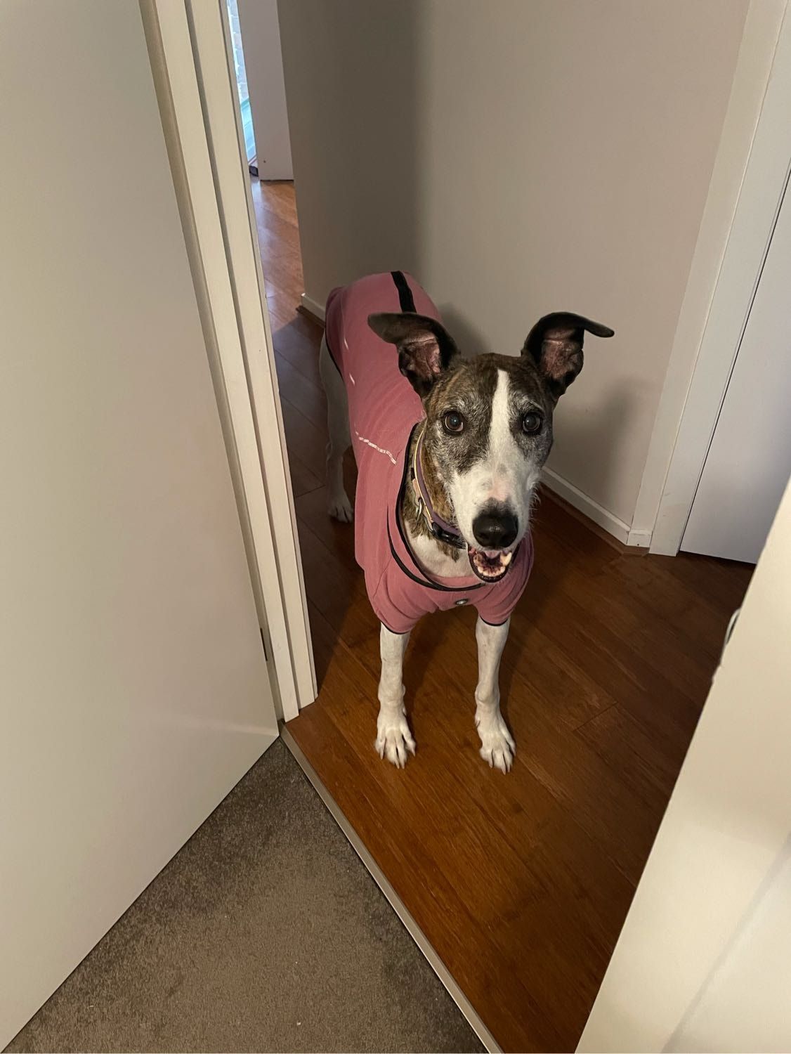 image-14
