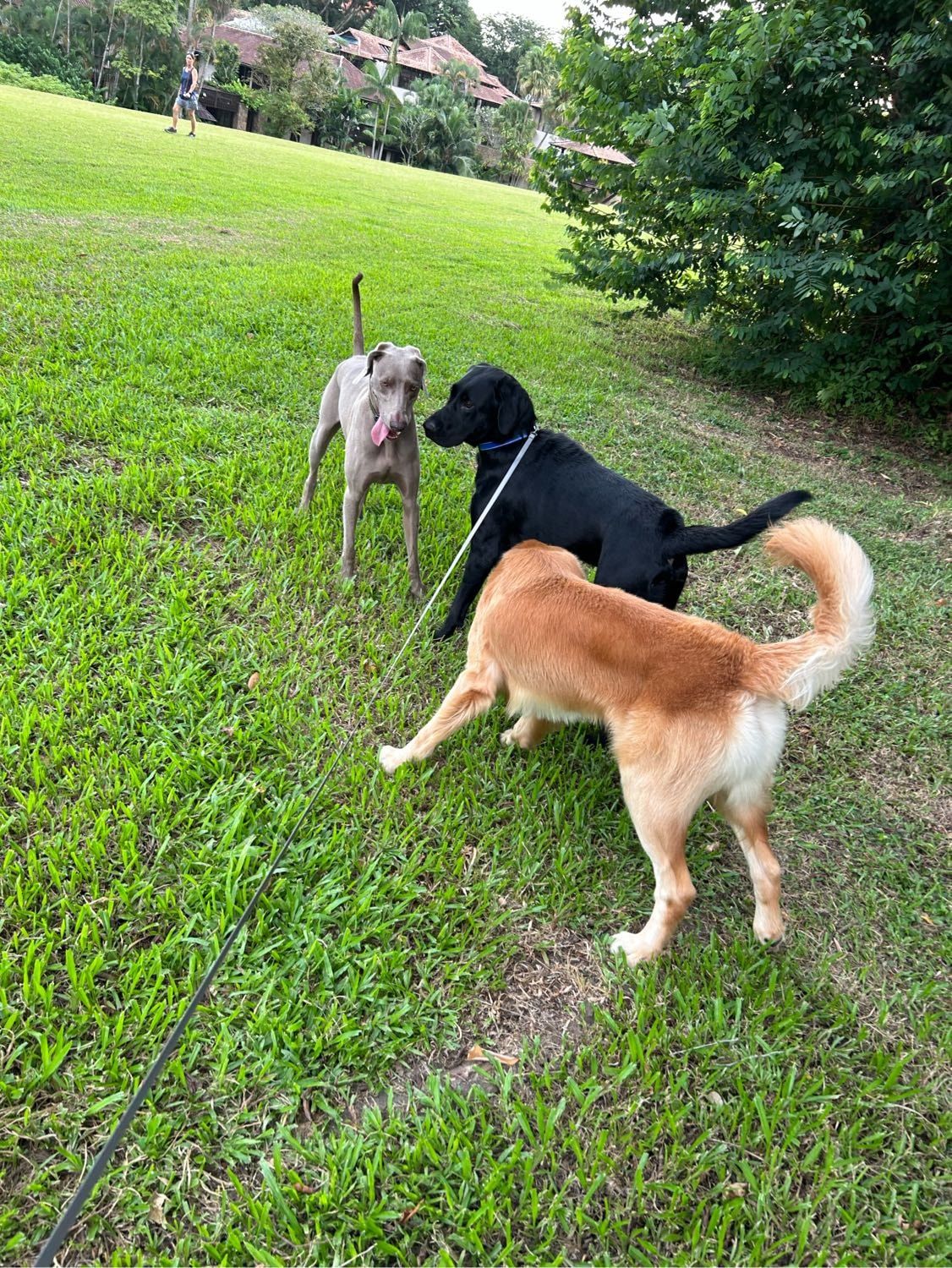 image-38